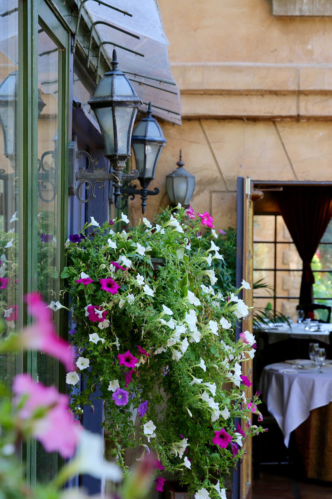 Canon EF 24-70mm F2.8L II USM sample photo. Patio dining photography