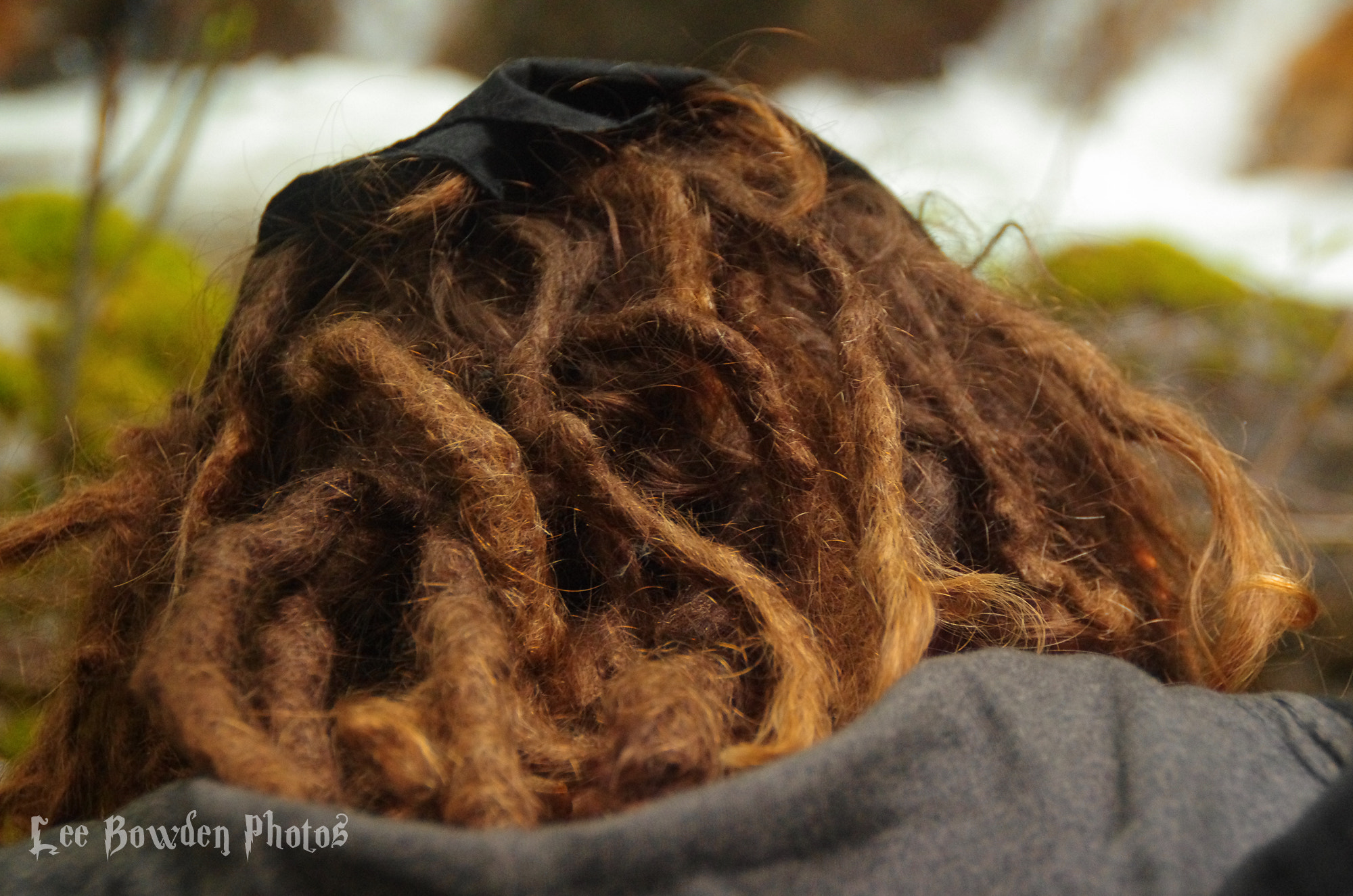 Tamron AF 18-200mm F3.5-6.3 XR Di II LD Aspherical (IF) Macro sample photo. Bowden's dreadlocks photography