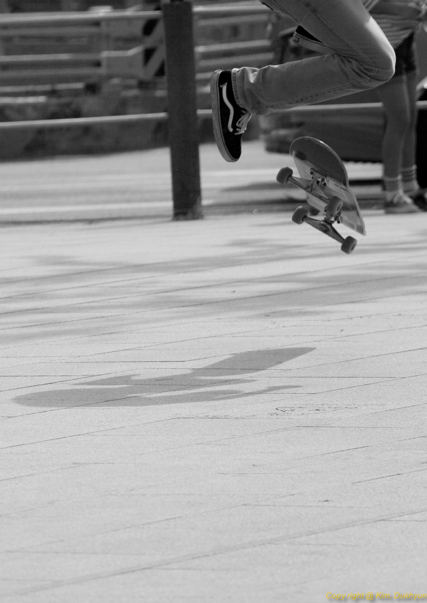Canon EF 70-200mm F2.8L USM sample photo. Fly photography