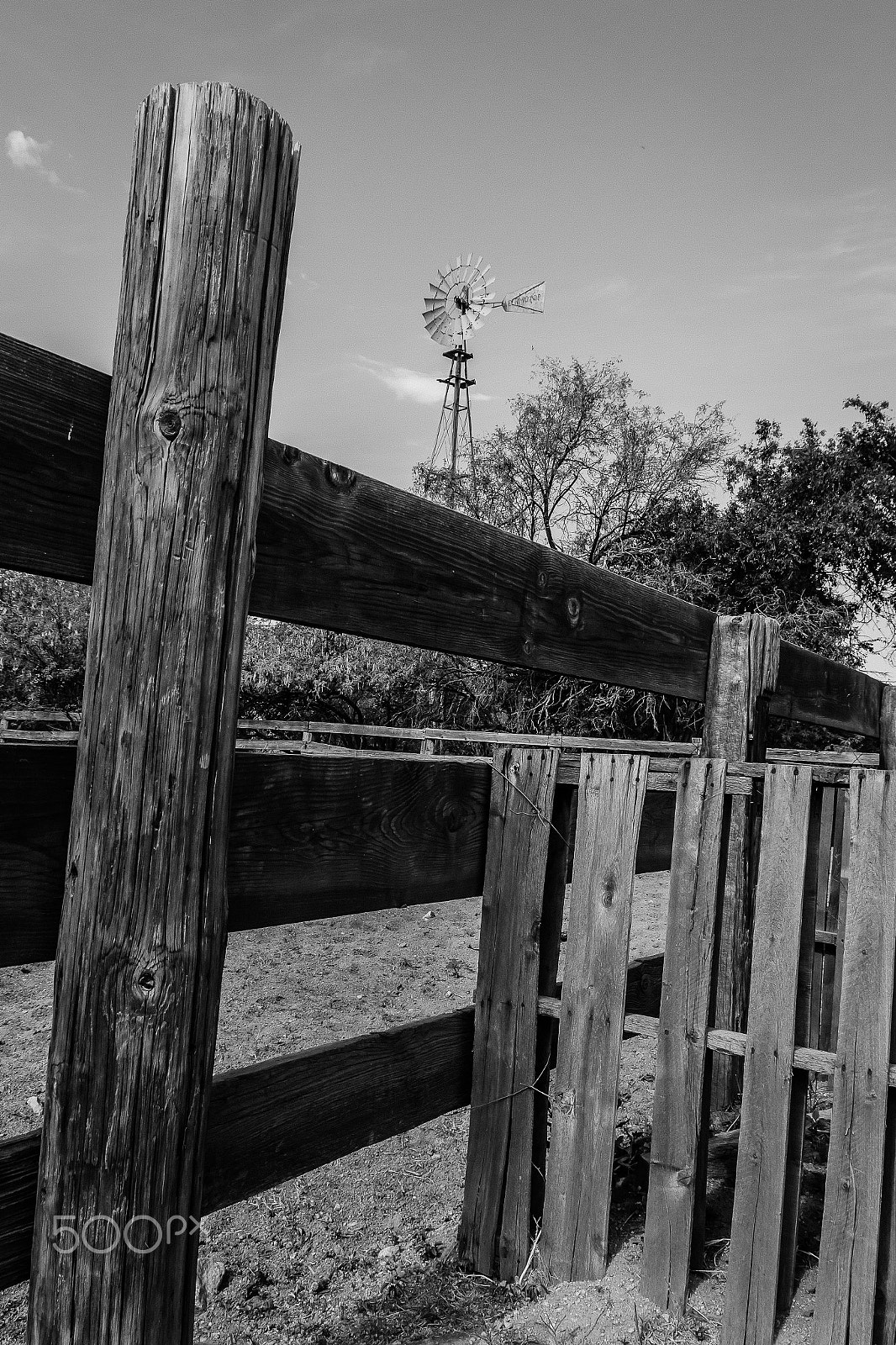 Canon EOS 100D (EOS Rebel SL1 / EOS Kiss X7) sample photo. Street photography countryboy style photography