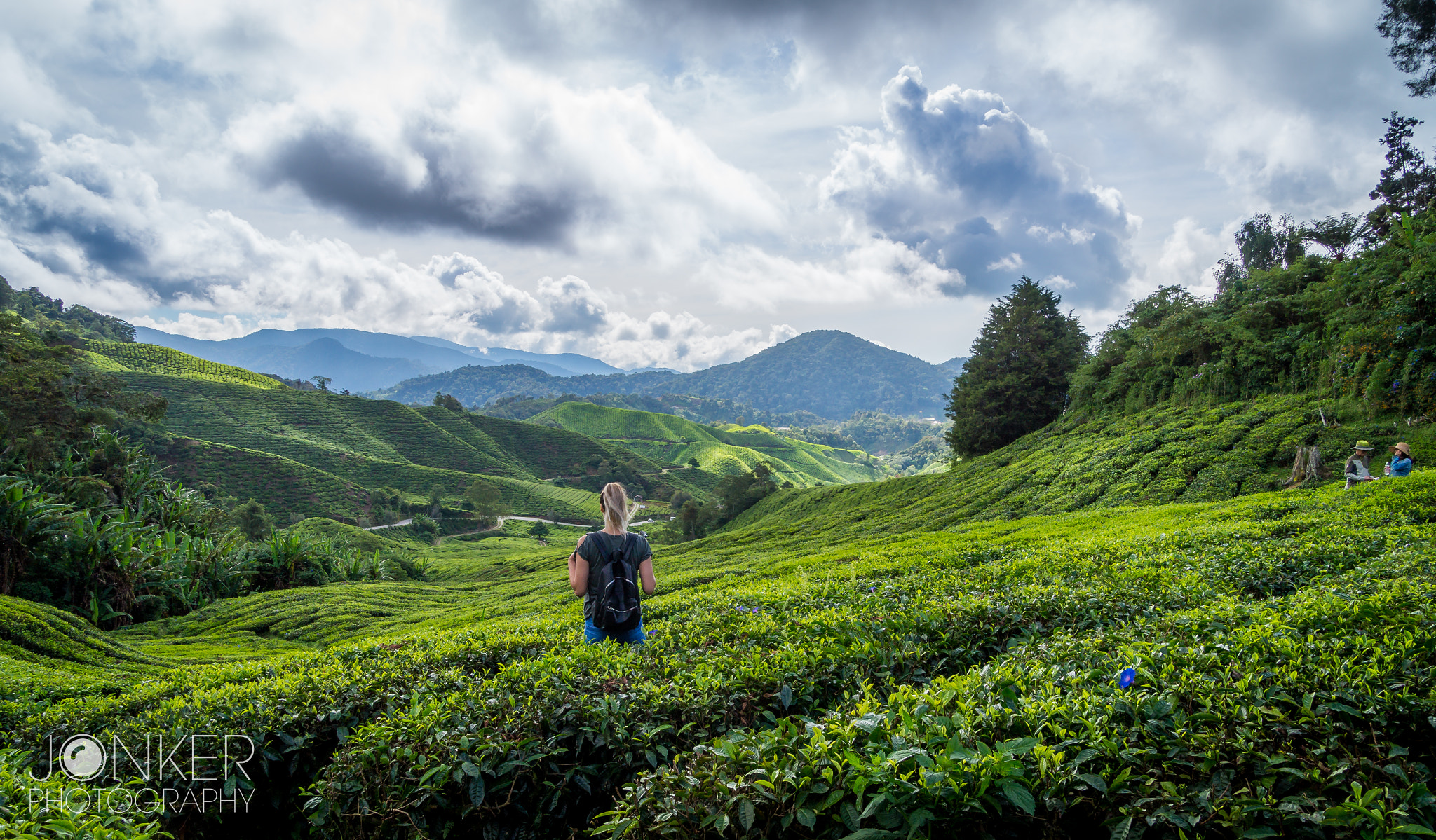 Tamron 18-270mm F3.5-6.3 Di II PZD sample photo. Cameron highlands - malaysia photography