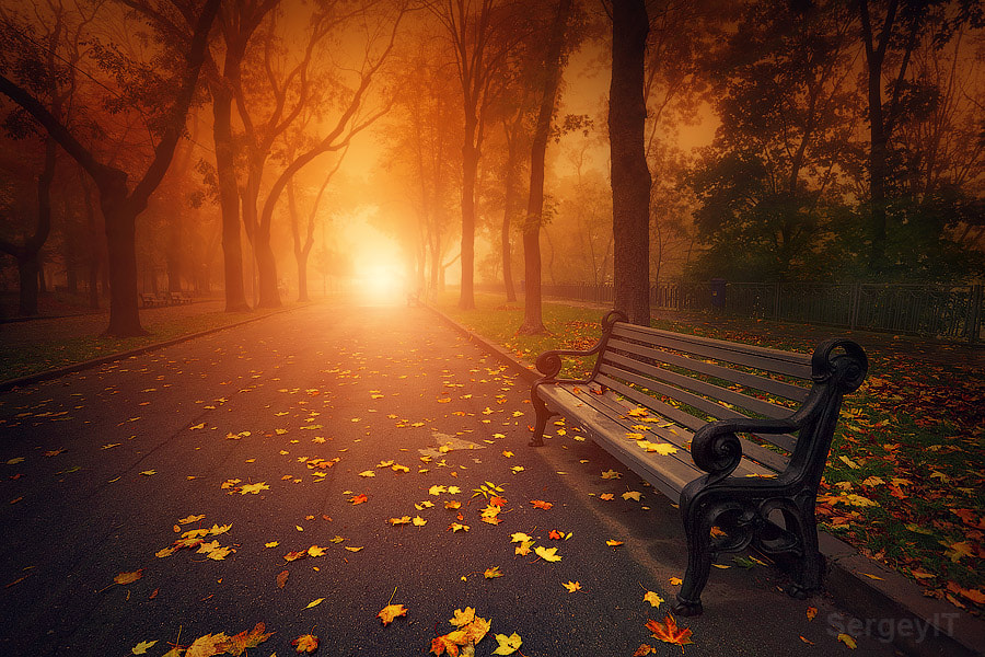 bench in foggy autumn park by Sergiy Trofimov on 500px.com