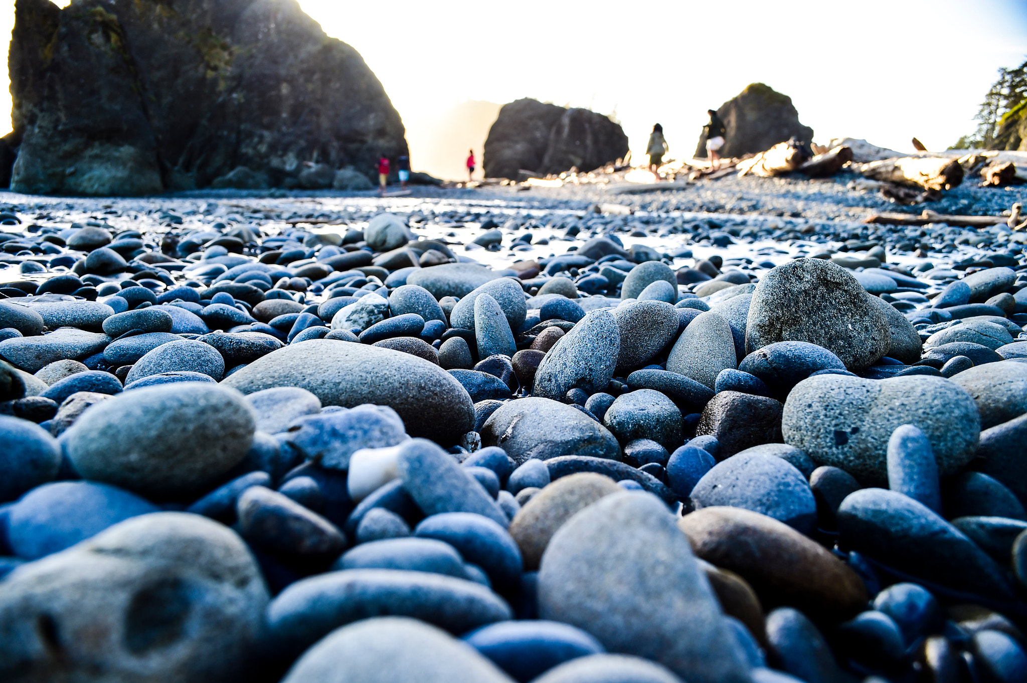 Nikon D4S sample photo. Ruby beach photography