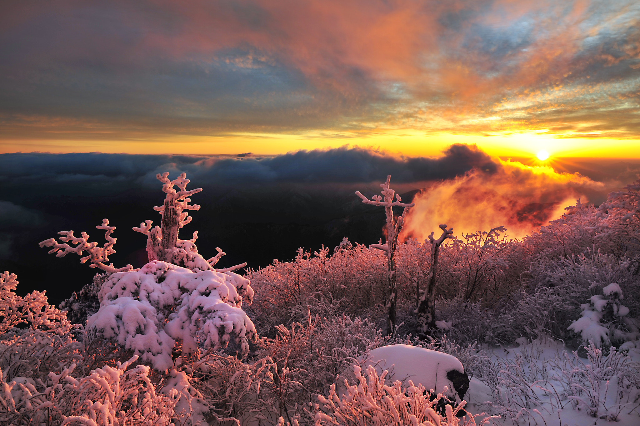 Nikon D3S + Nikon AF-S Nikkor 24mm F1.4G ED sample photo. Mt.deokyu photography