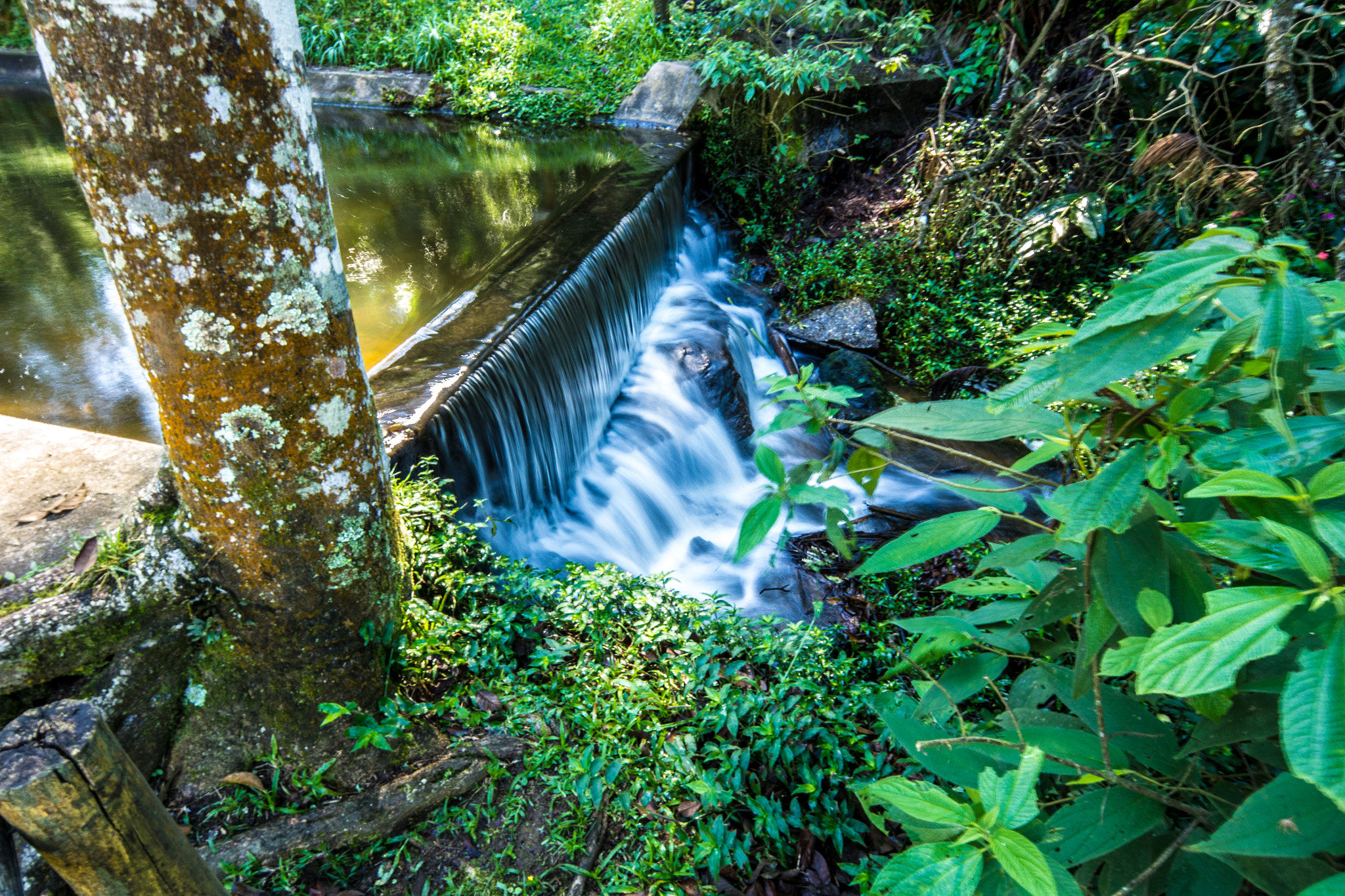 Samsung NX 12-24mm F4-5.6 ED sample photo. Serra da cantareira photography