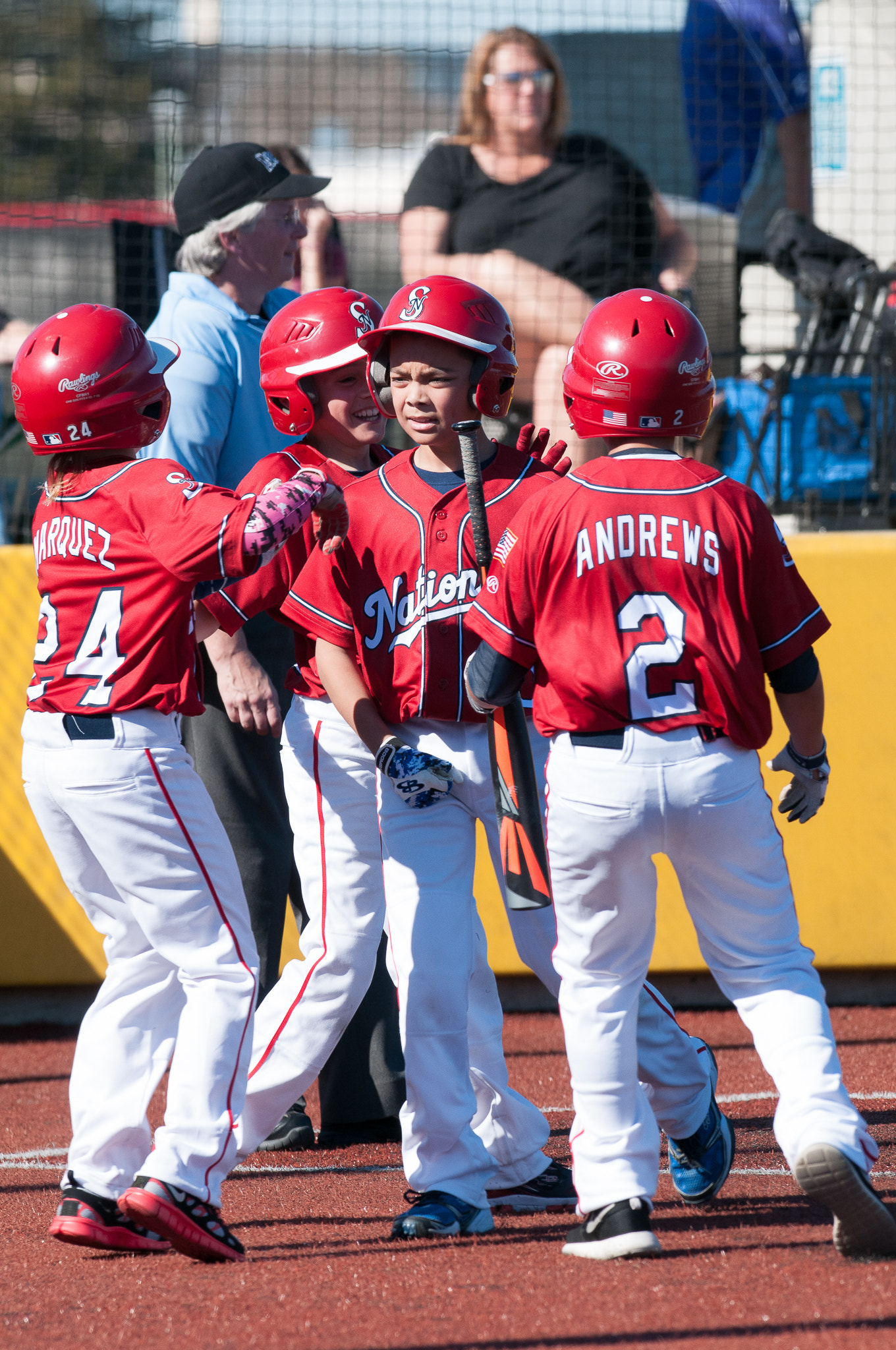 AF-S Nikkor 300mm f/2.8D IF-ED II sample photo. 021415 image of the game photography