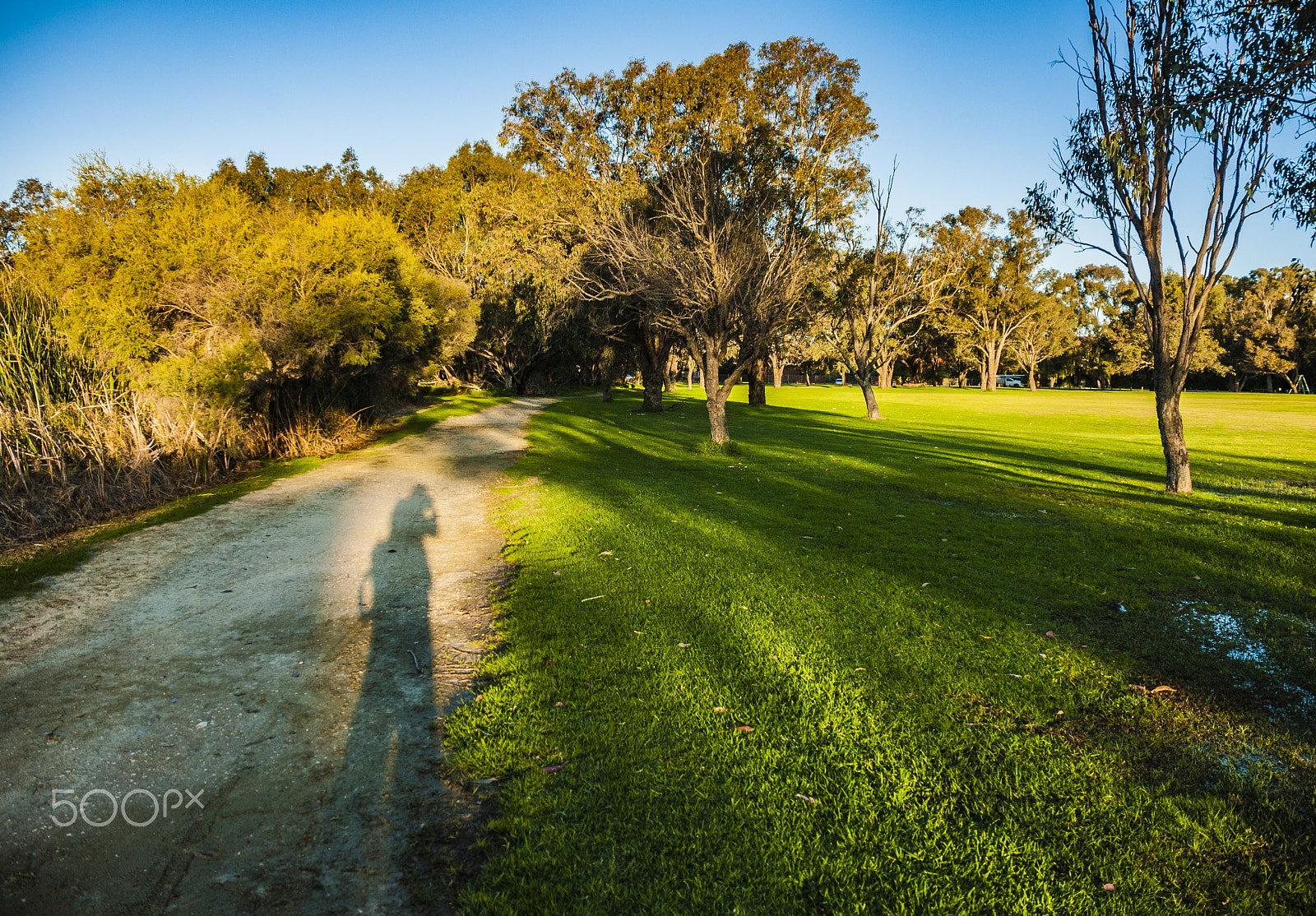 Nikon D300S sample photo. Shadow photography