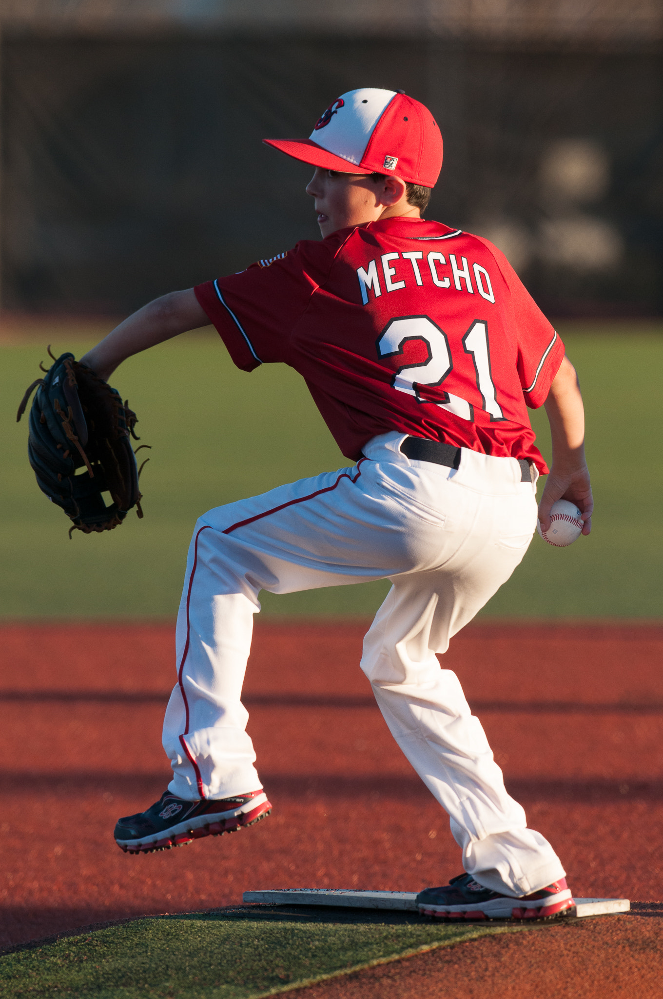 AF-S Nikkor 300mm f/2.8D IF-ED II sample photo. 021415 - image of the game photography