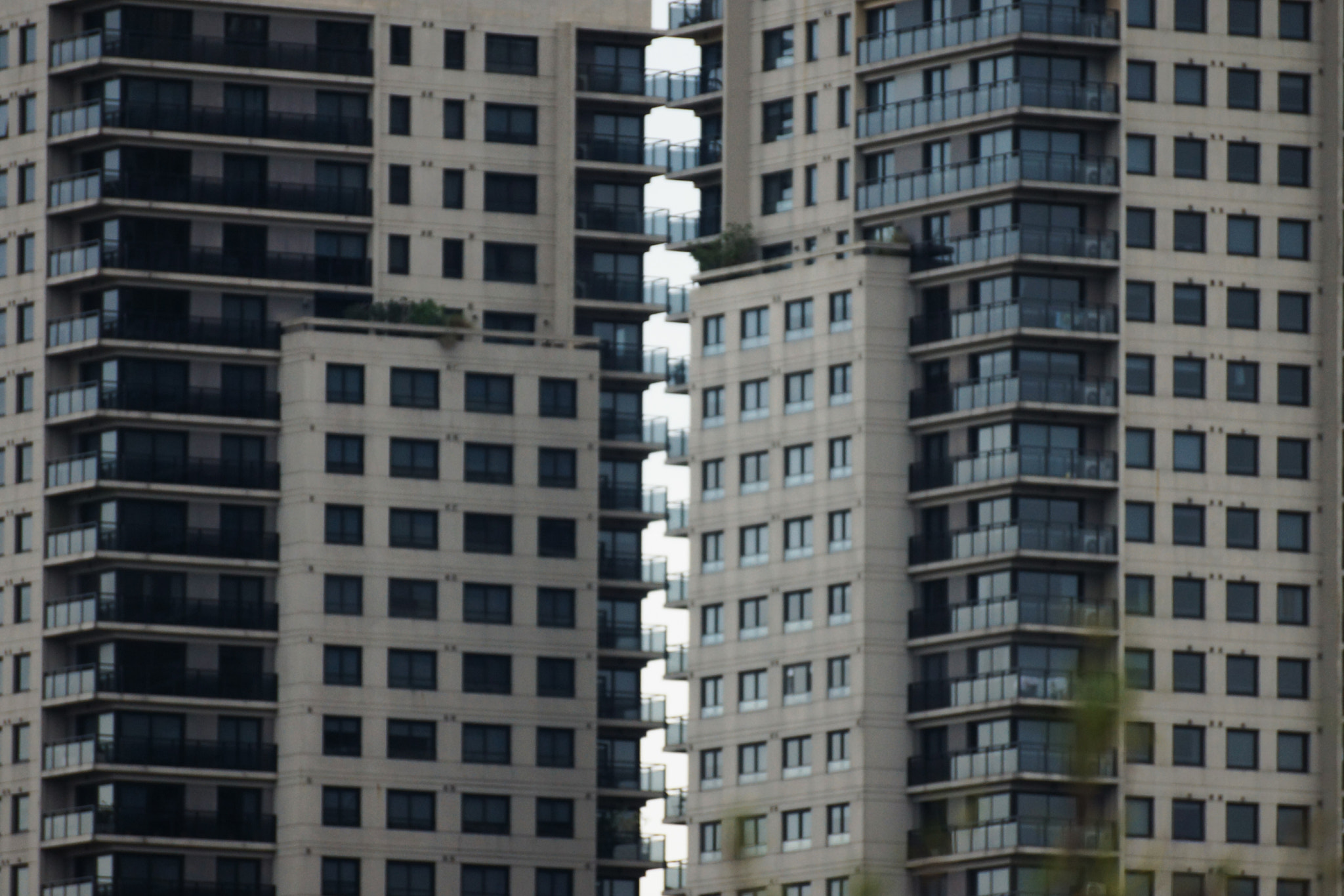 Sony DT 55-300mm F4.5-5.6 SAM sample photo. Simmetry photography