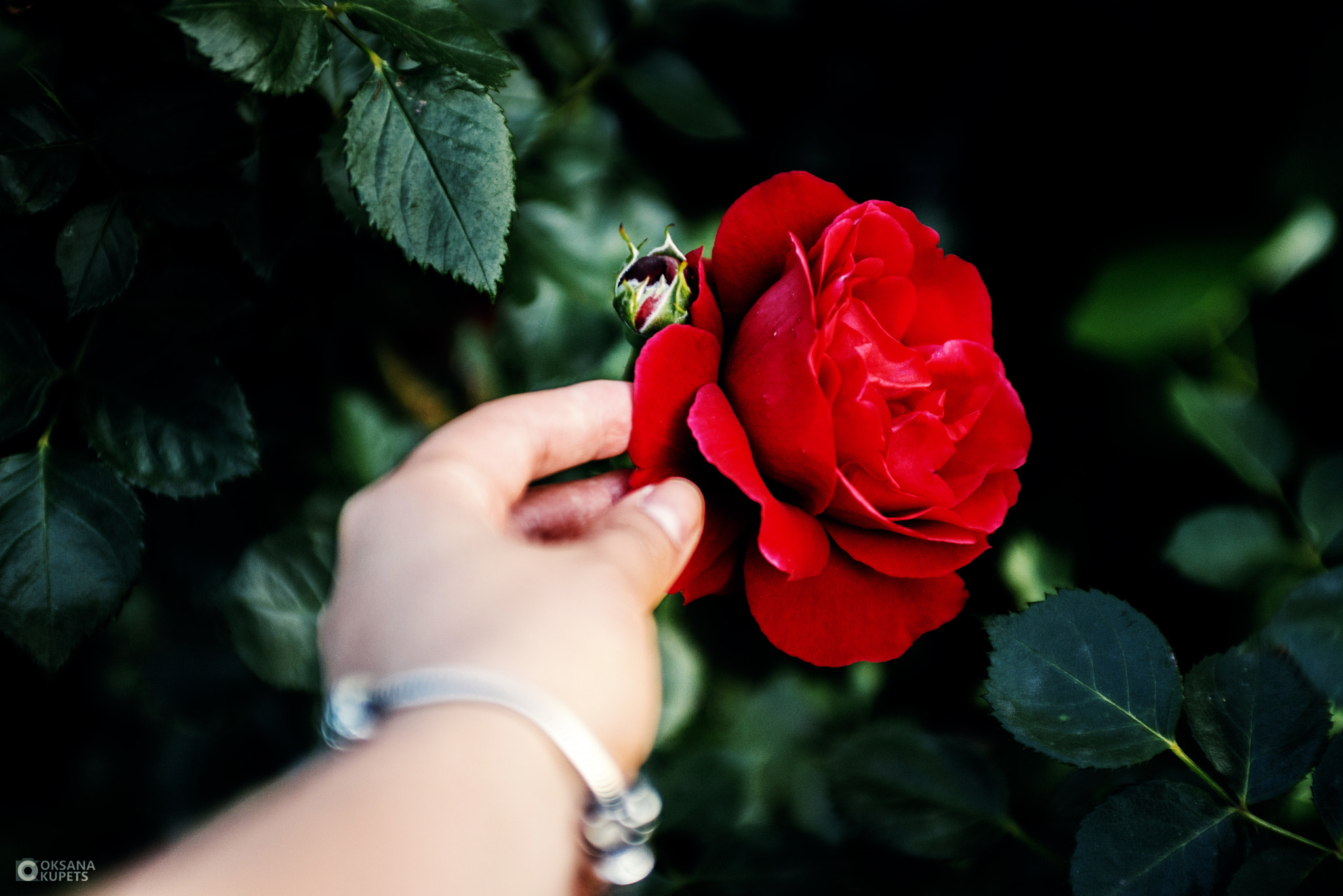 Nikon D600 + AF Zoom-Nikkor 35-70mm f/2.8D sample photo. Morning.jpg photography
