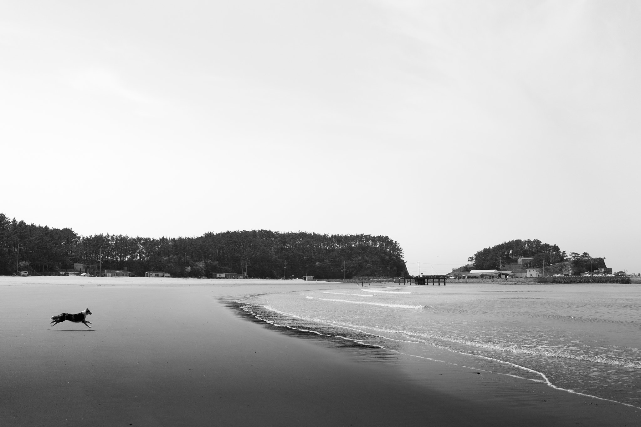 Sony a7 + Sony Distagon T* FE 35mm F1.4 ZA sample photo. First time photography
