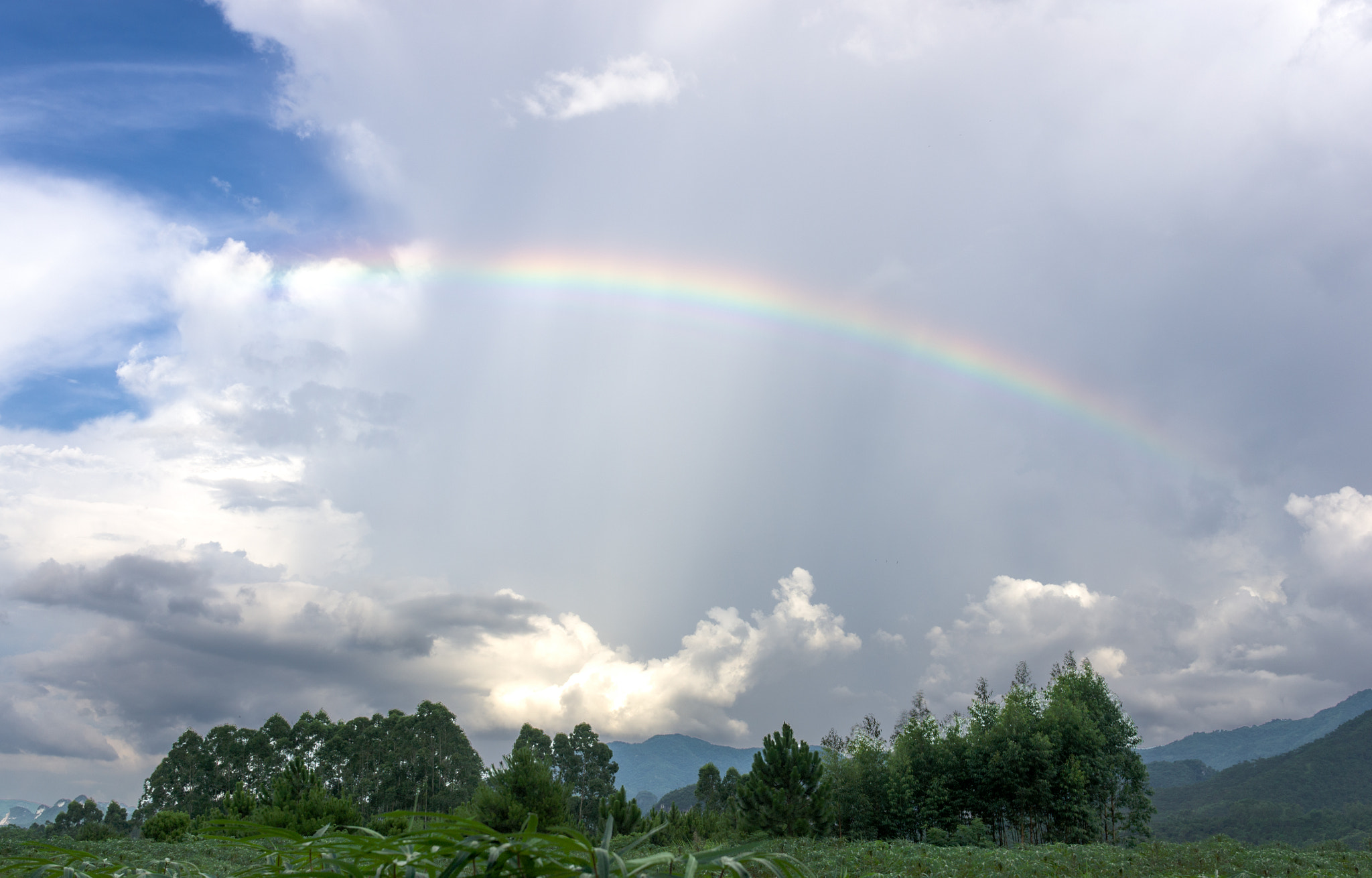 Sony NEX-3C sample photo. Rainbow photography