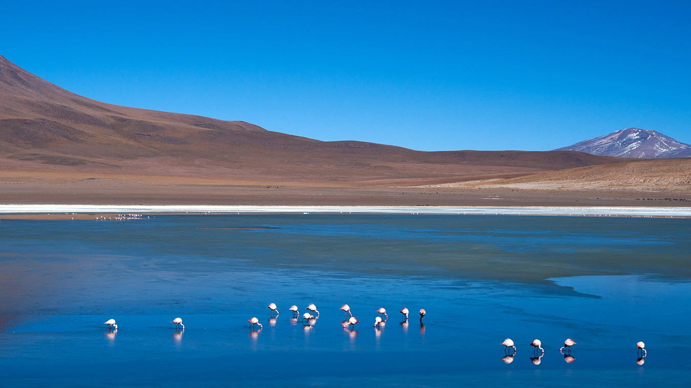 Sony Alpha DSLR-A900 + 35-70mm F4 sample photo. Laguna cañapa (2) photography
