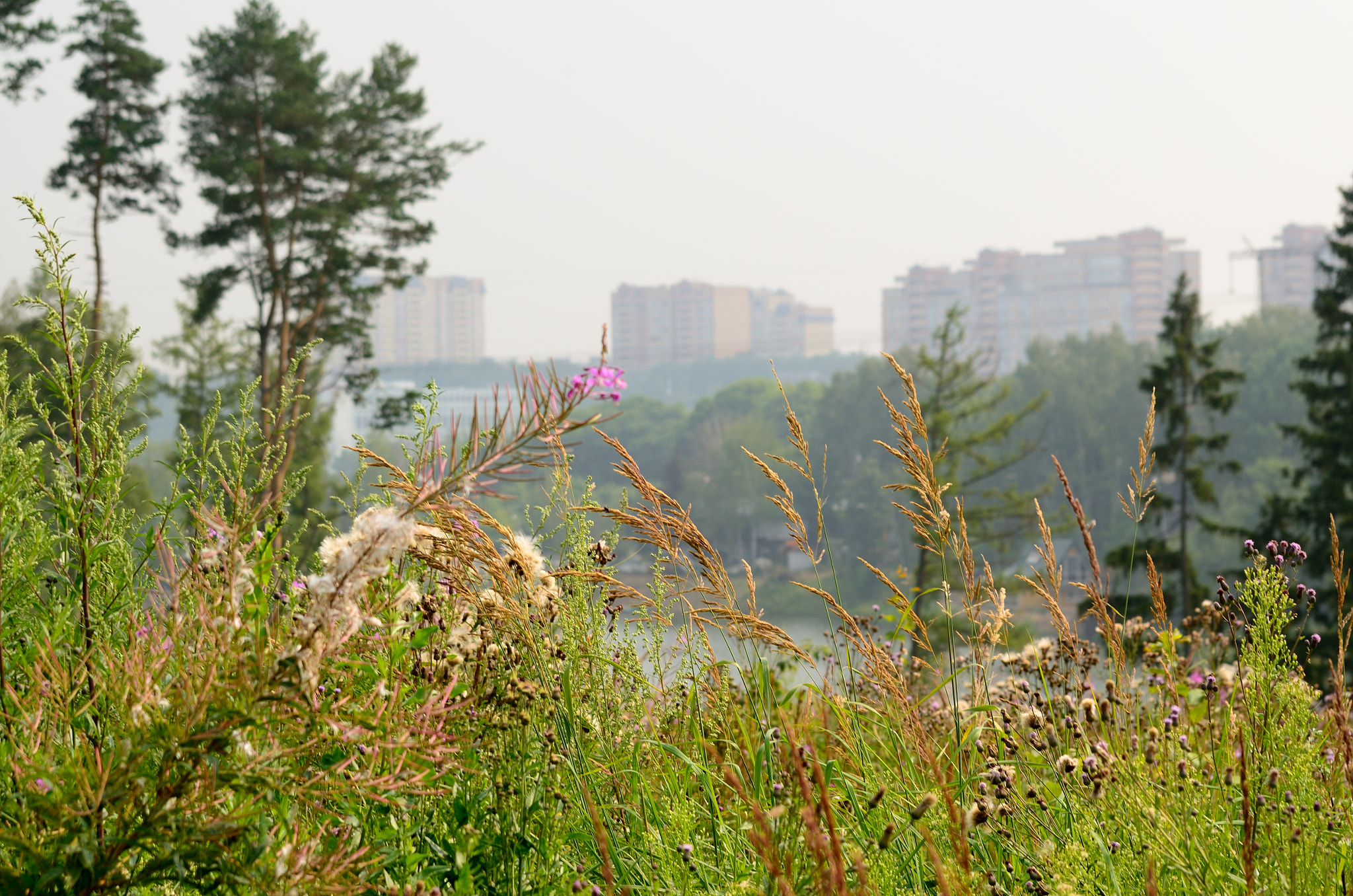 Nikon D7000 + Sigma 70-300mm F4-5.6 DG OS sample photo. The city behind the river photography