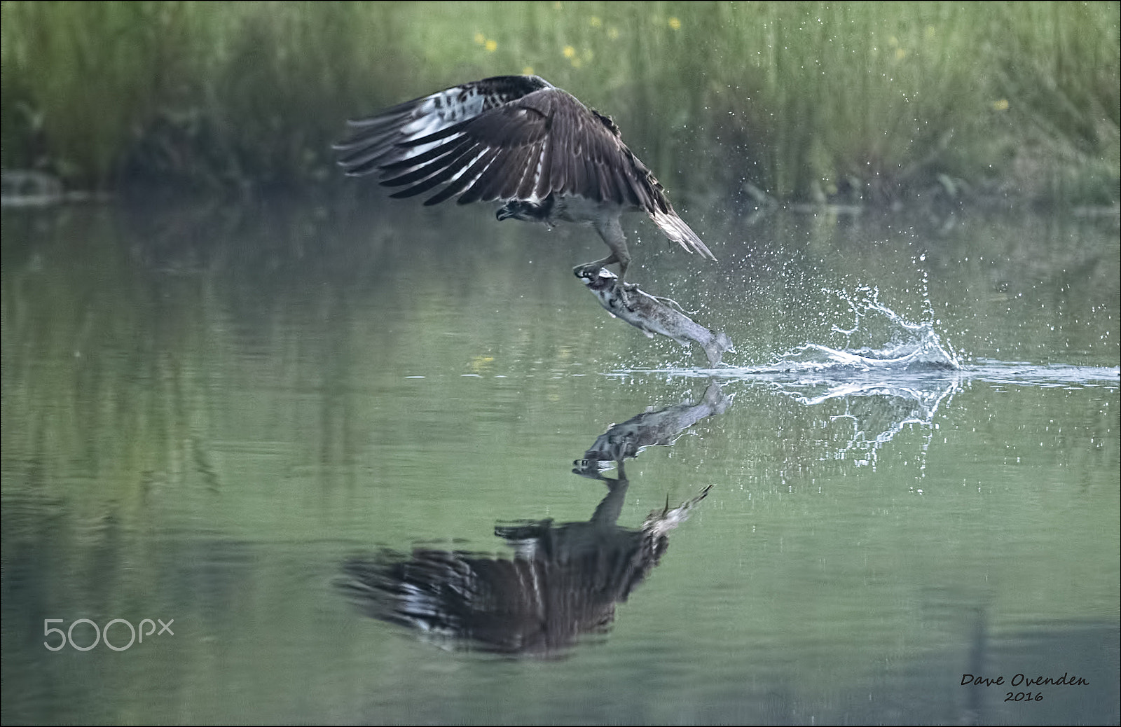 Canon EF 300mm F2.8L IS II USM sample photo. Reflection photography