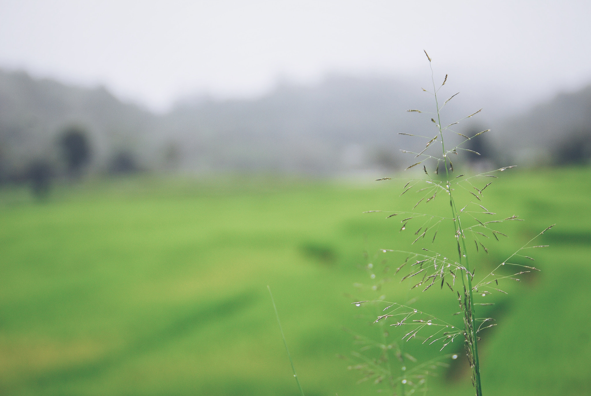 Nikon D60 sample photo. Everyday is a new beginning. photography