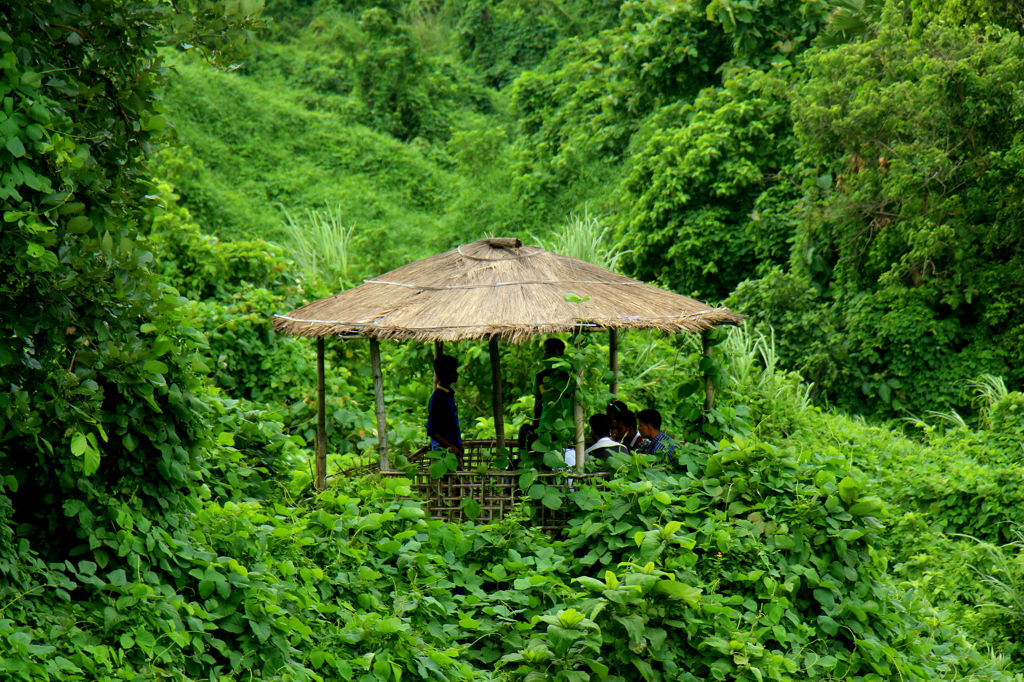 Canon EOS 700D (EOS Rebel T5i / EOS Kiss X7i) sample photo. Haven on the hill photography