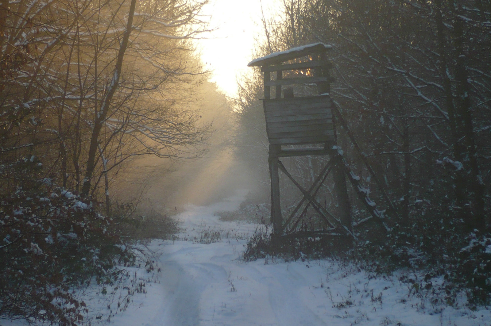 Panasonic DMC-LS60 sample photo. Winter photography