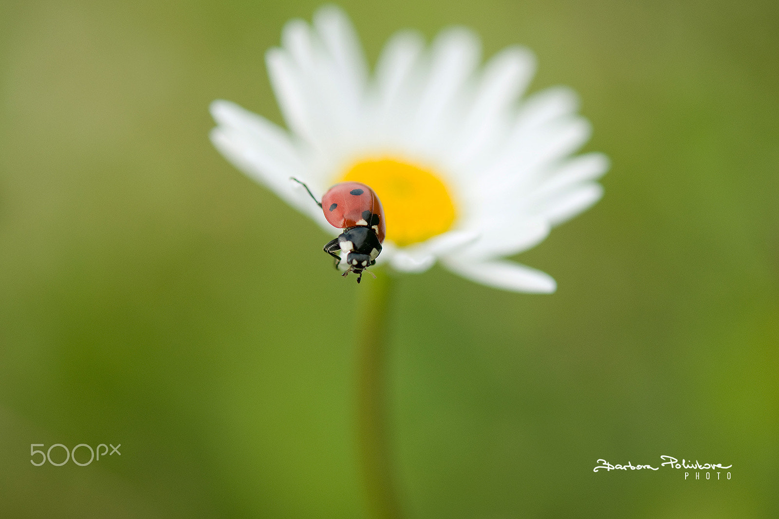 Nikon AF-S Micro-Nikkor 60mm F2.8G ED sample photo. Ah, what a view! photography