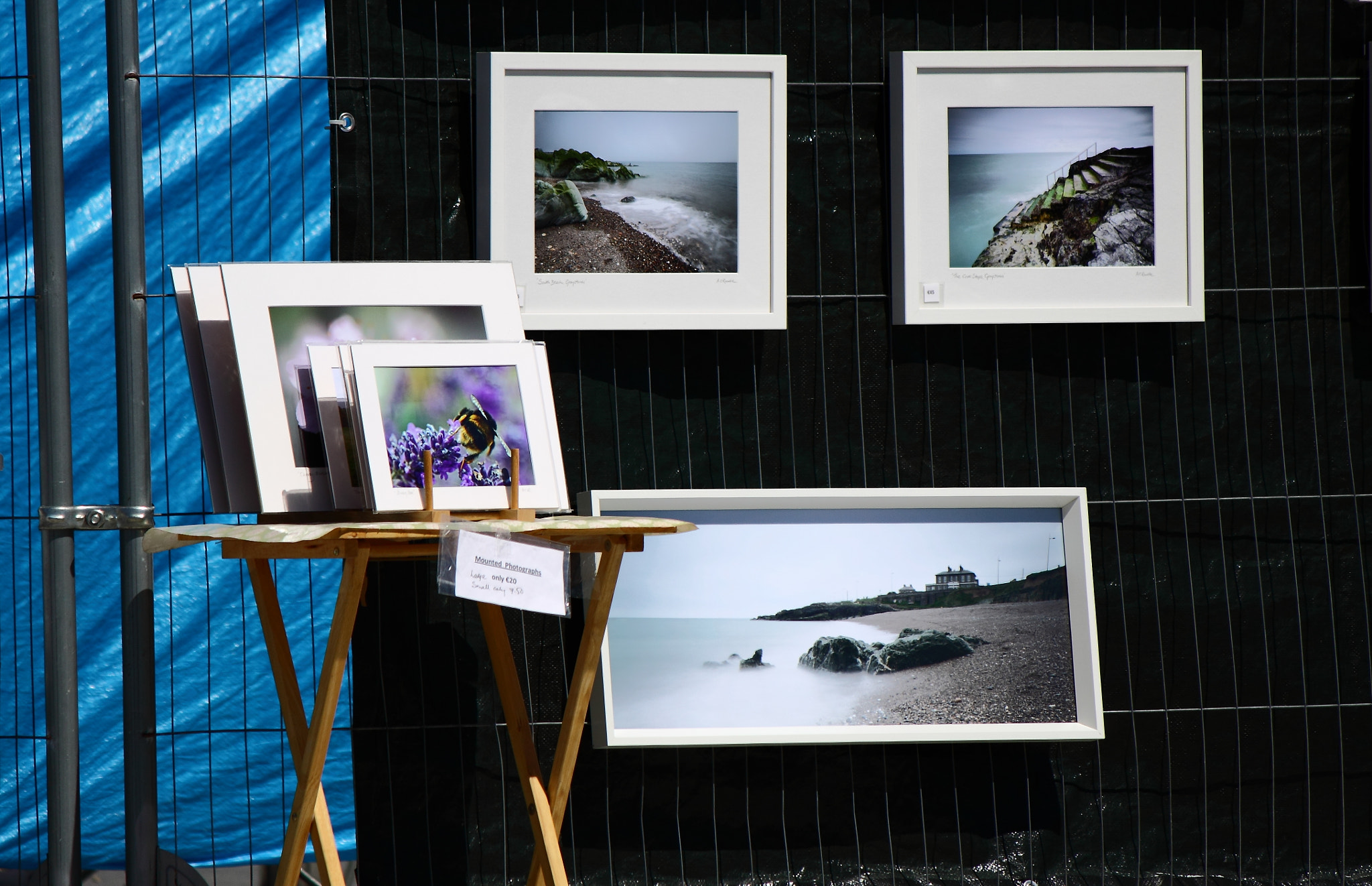 Canon EF-S 55-250mm F4-5.6 IS sample photo. Anna o'rourke photography expo photography