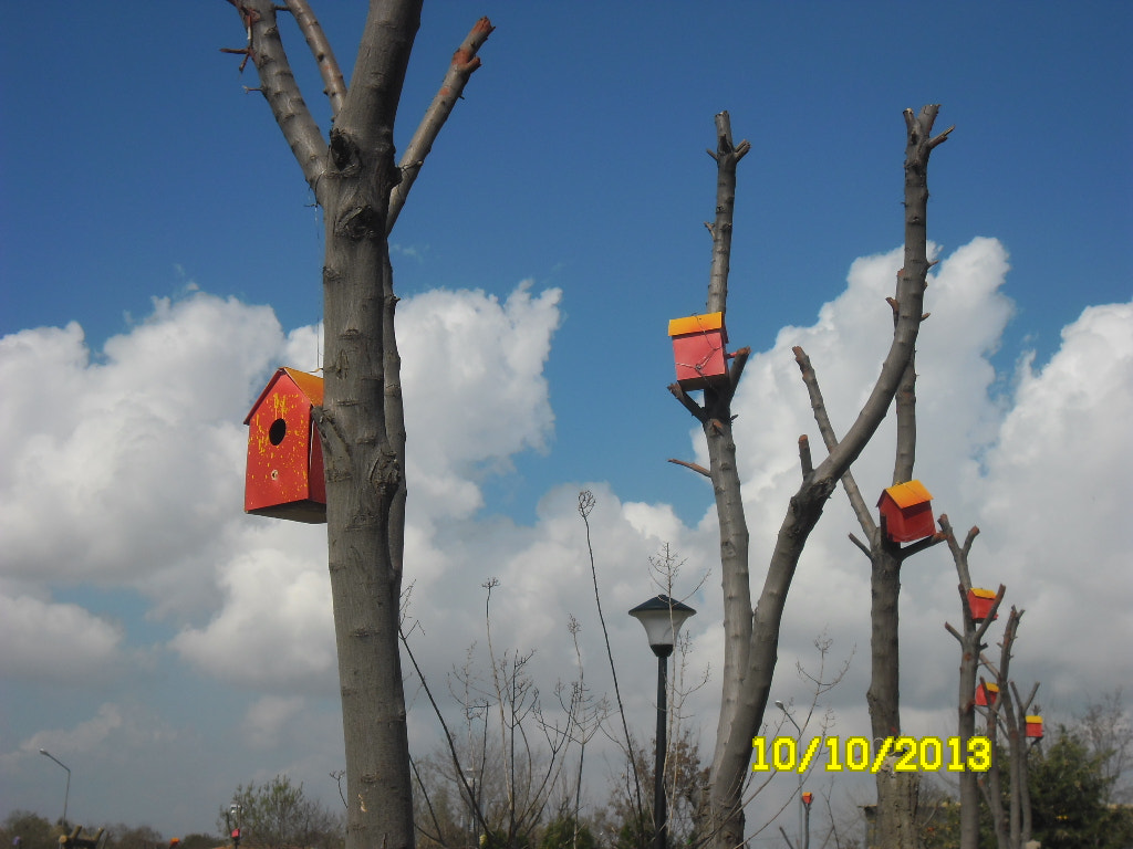 Samsung ES80/ ES81 sample photo. Bird house photography