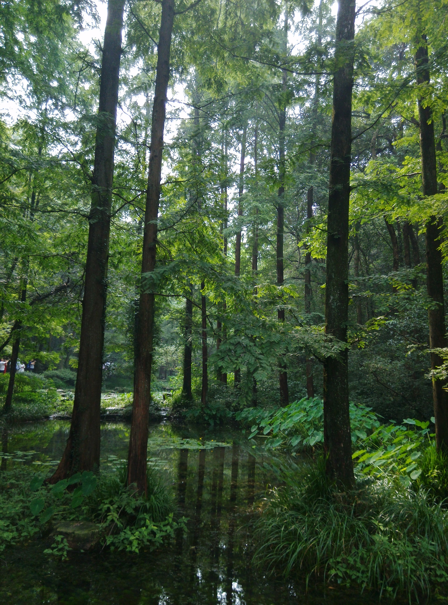 Xiaomi MI3 sample photo