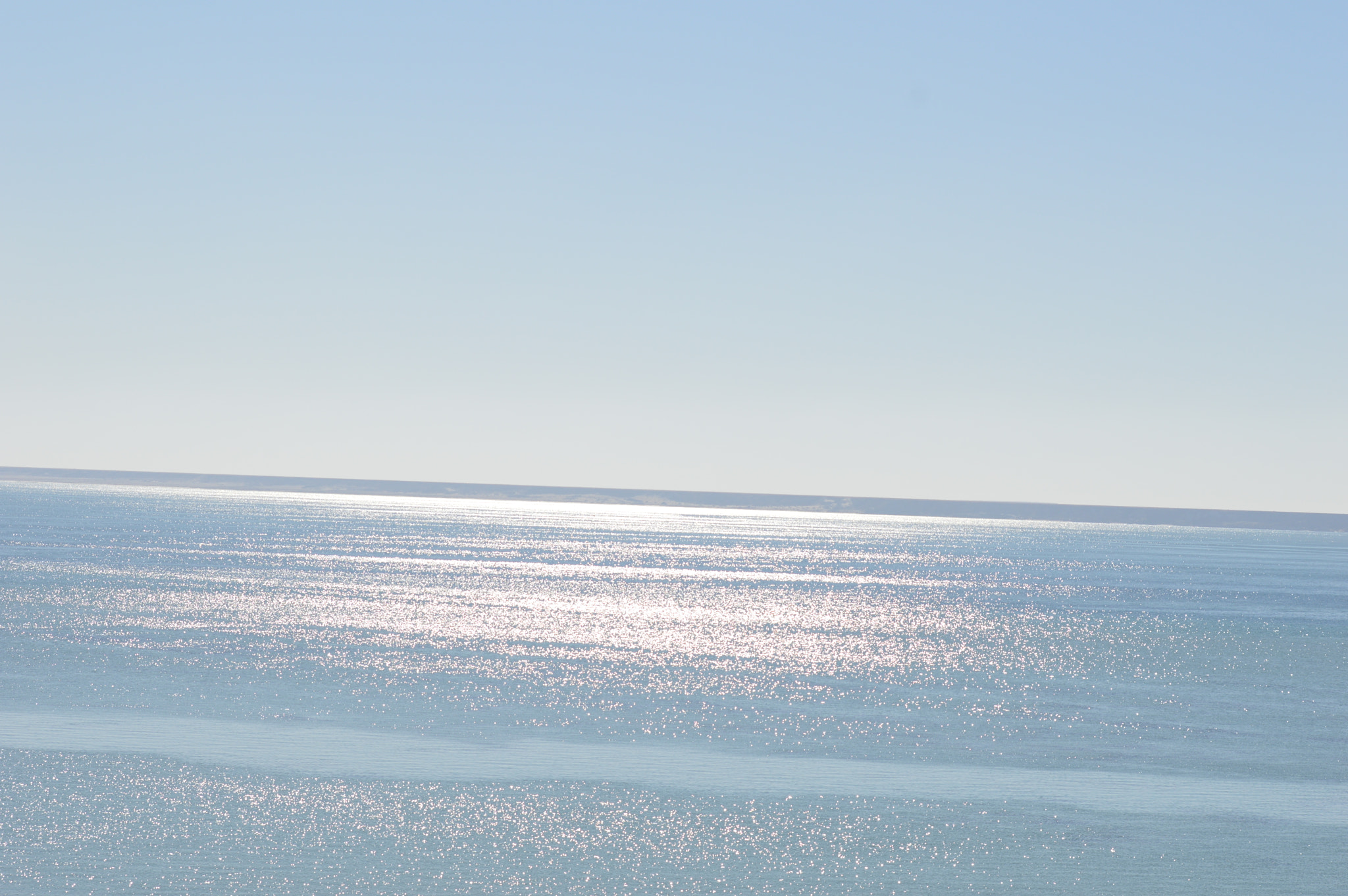 Nikon D3200 + Sigma 70-300mm F4-5.6 DG OS sample photo