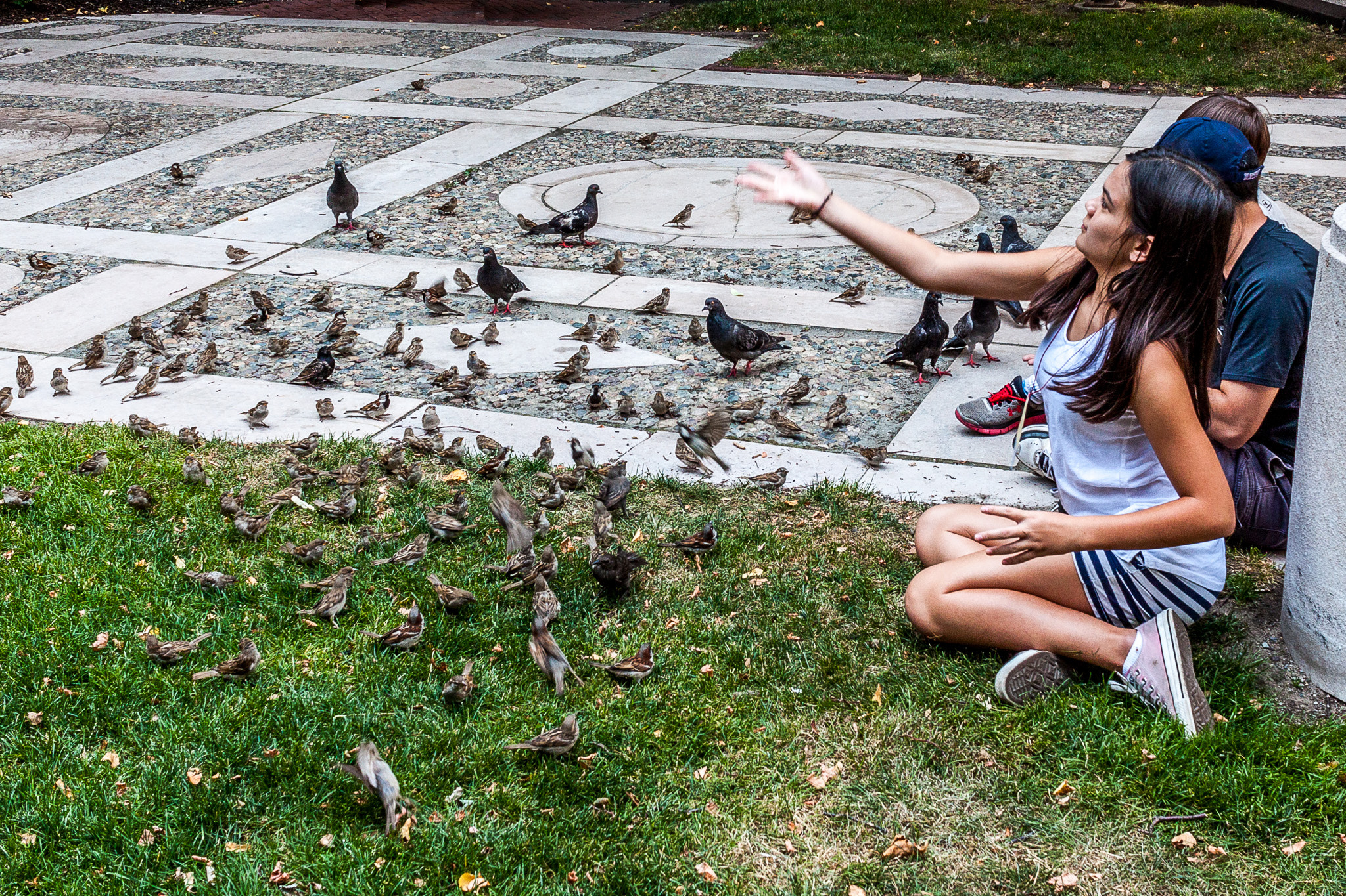 Canon EF-S 24mm F2.8 STM sample photo. Kids feeding birds photography