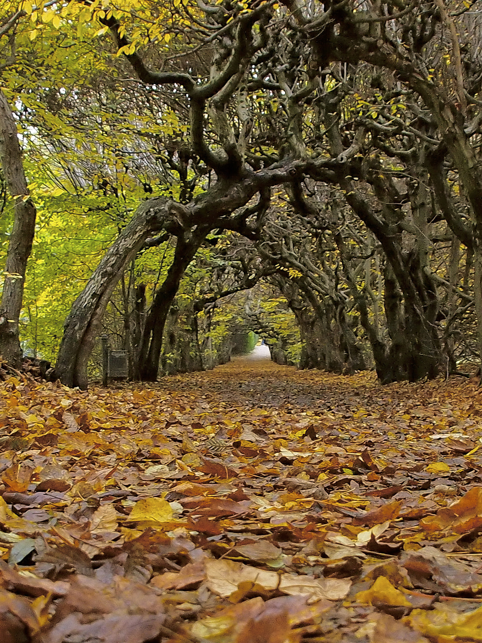 Olympus PEN E-PL3 sample photo. Herbst photography