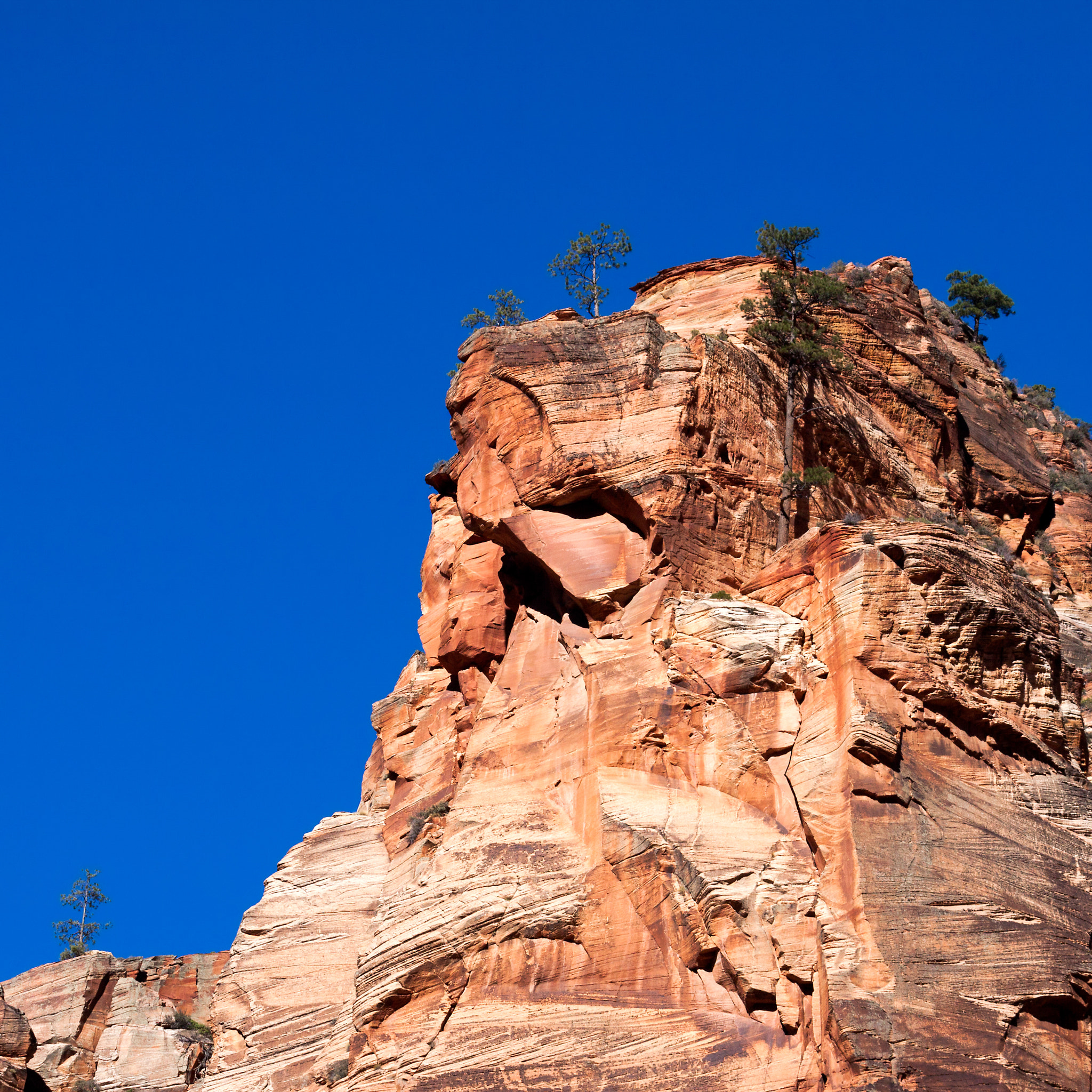 Canon EOS 50D + Canon EF 100-400mm F4.5-5.6L IS USM sample photo. Rocky outcrop in zion national park photography