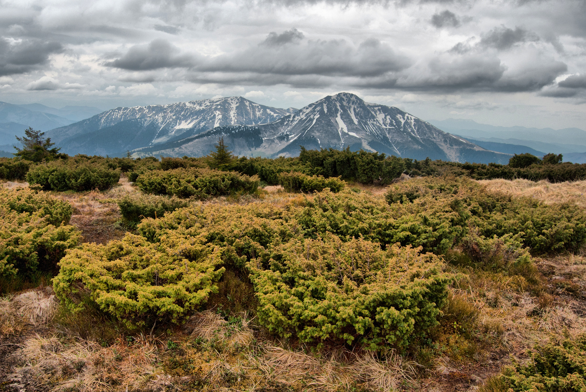 Nikon D200 sample photo. Romania photography