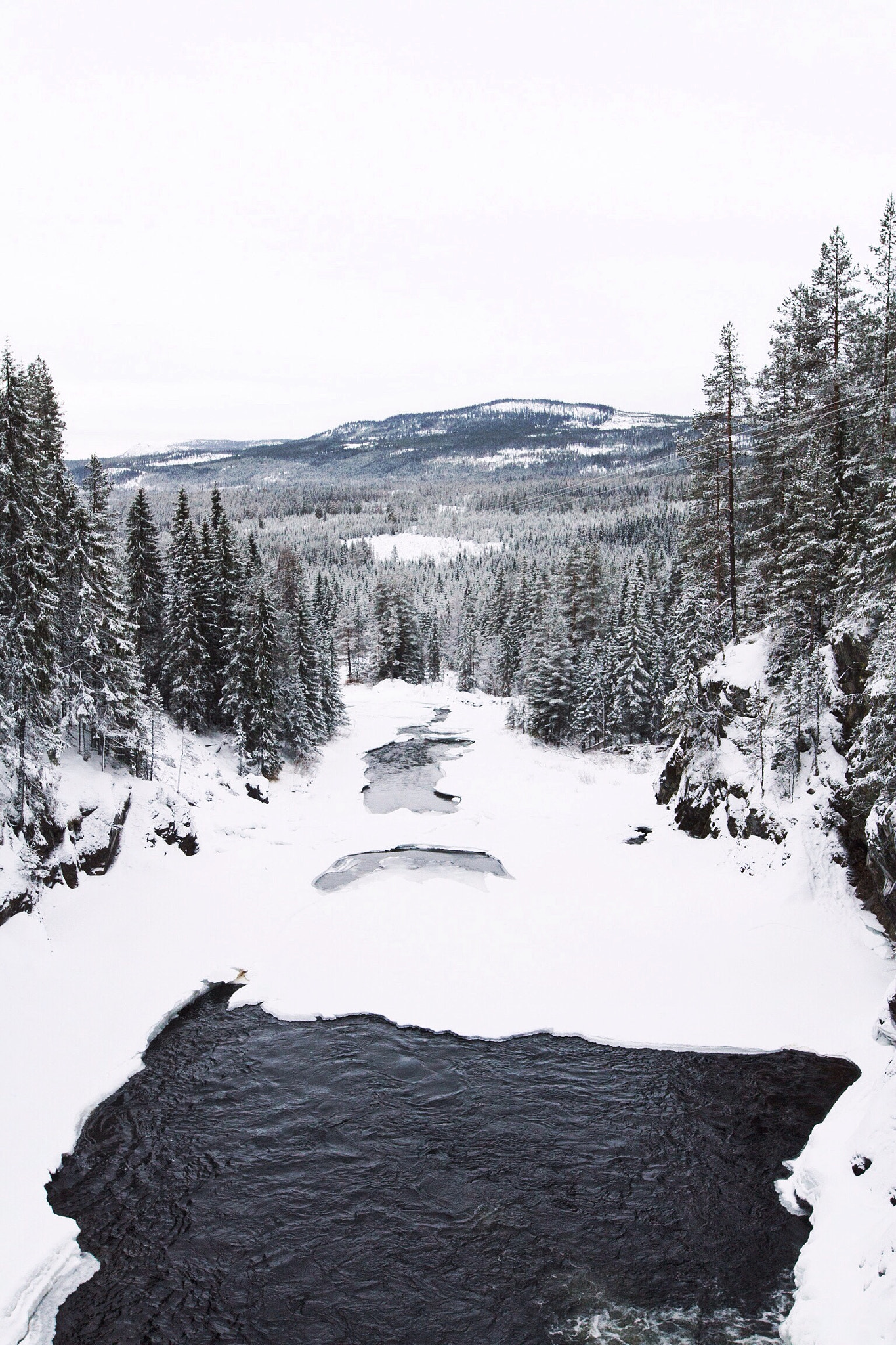 Sigma 20mm F1.4 DG HSM Art sample photo. River through the pines photography