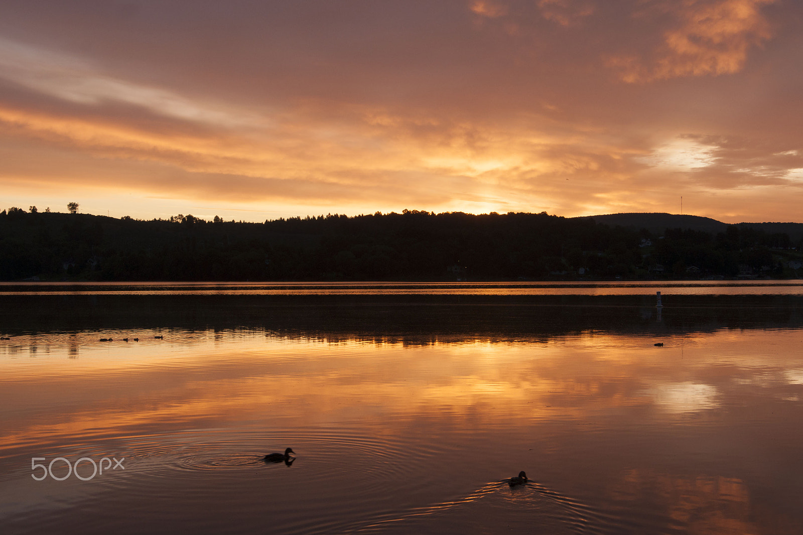 Sony Alpha DSLR-A700 + Minolta AF 17-35mm F2.8-4 (D) sample photo. Dawn with ducks photography