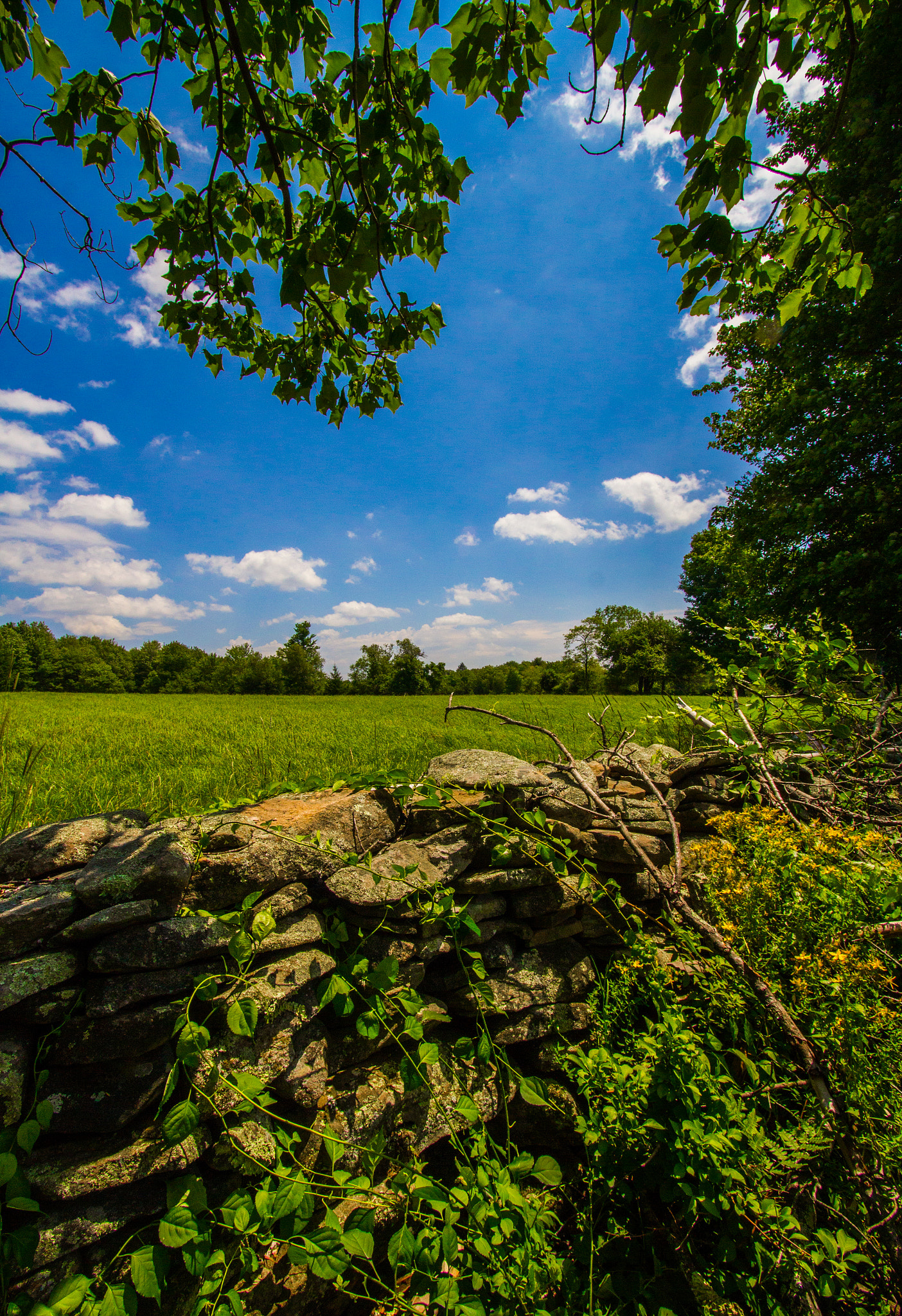 Canon EF-S 10-22mm F3.5-4.5 USM sample photo. Summer sun on an old rock wall photography