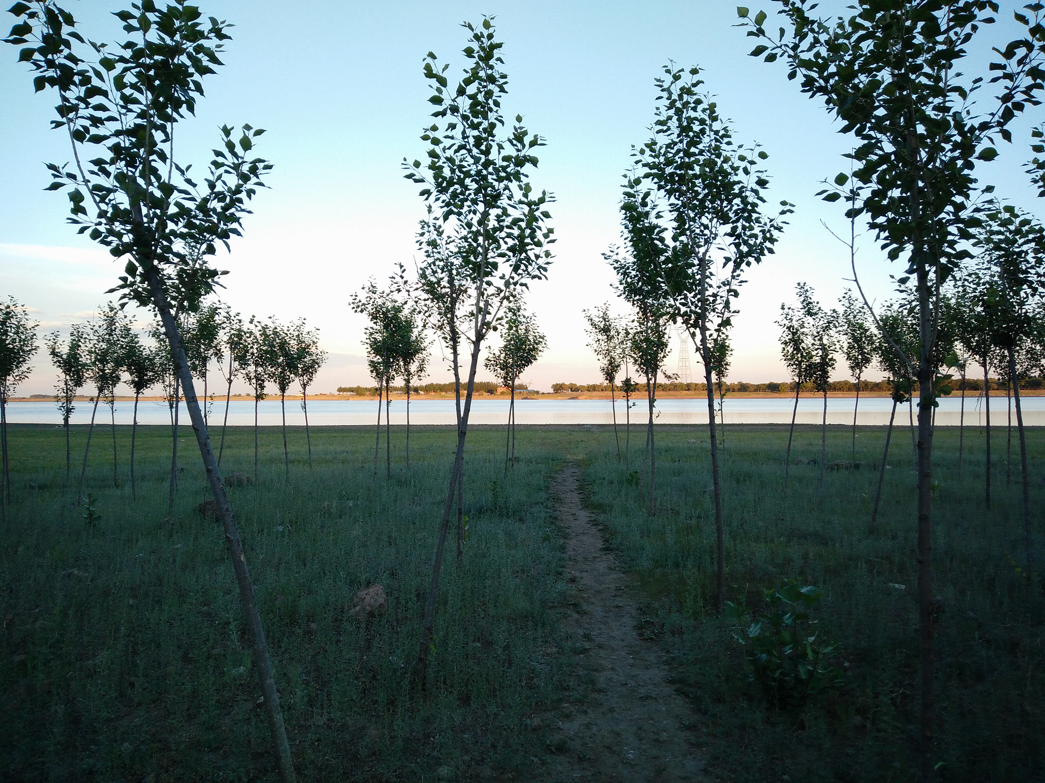 OnePlus ONE E1001 sample photo