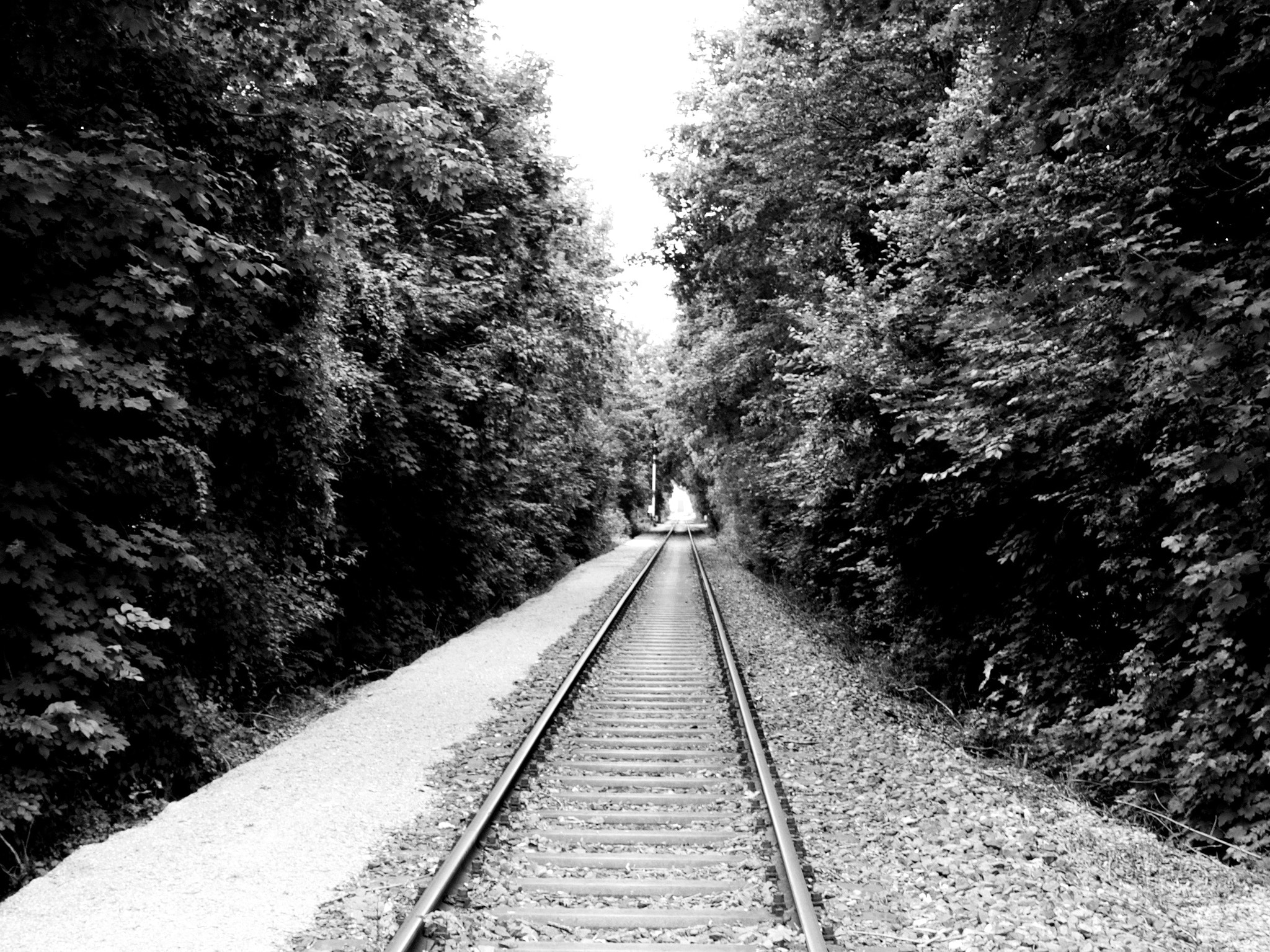 Olympus M.Zuiko Digital ED 14-42mm F3.5-5.6 EZ sample photo. Train trail photography