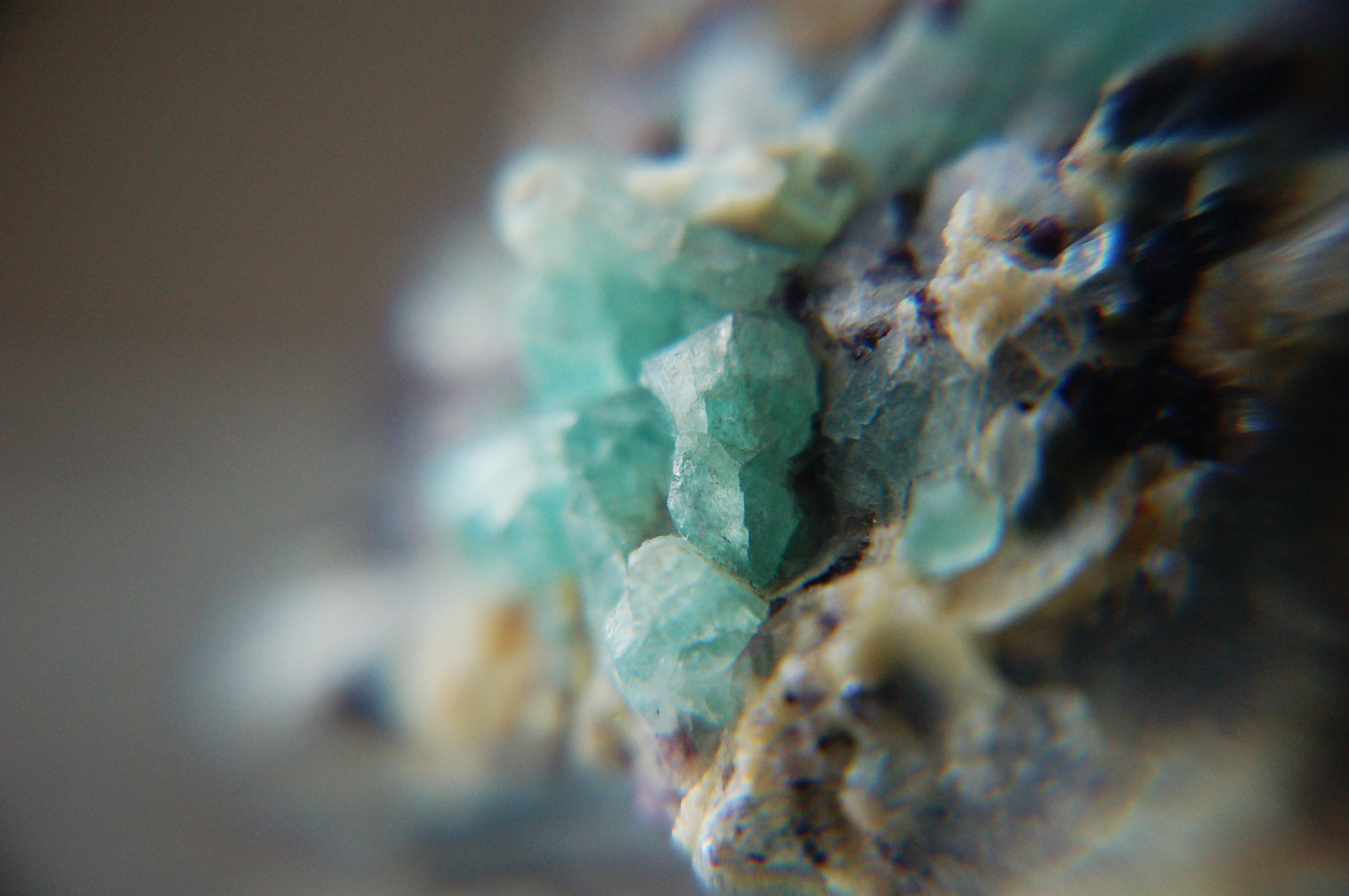 Nikon D50 sample photo. Ocean sugar photography