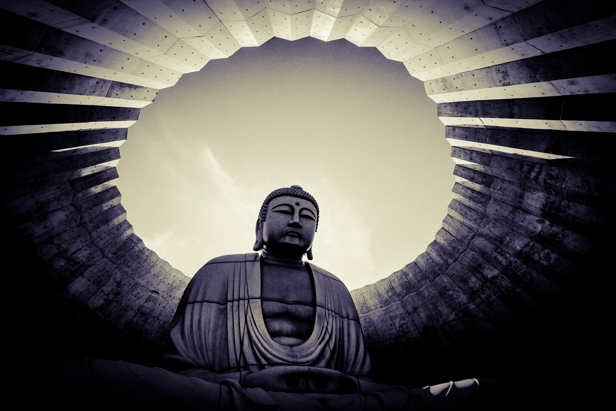 Olympus OM-D E-M1 + OLYMPUS  7-14mm Lens sample photo. The buddha photography