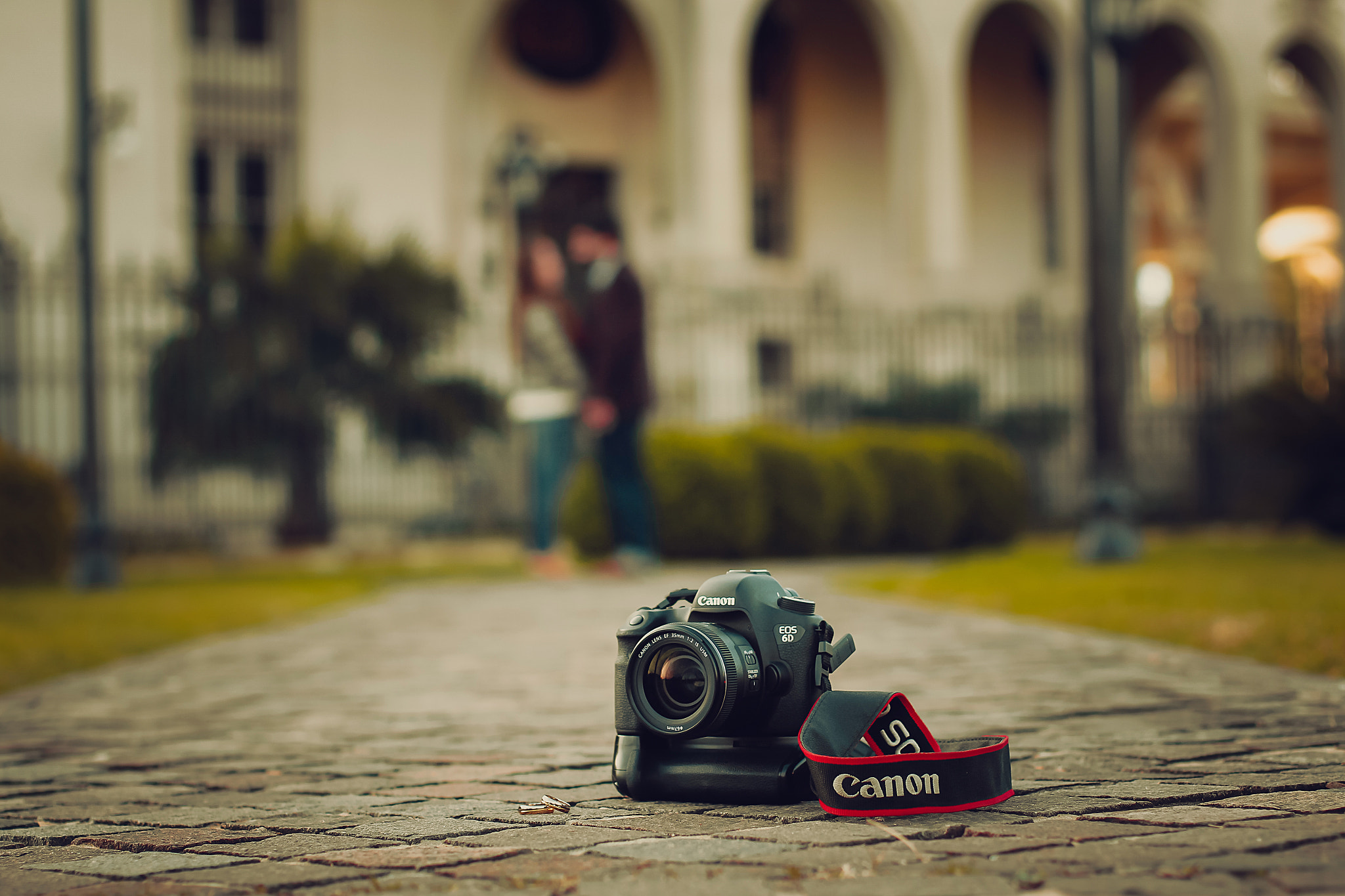 Canon EOS 100D (EOS Rebel SL1 / EOS Kiss X7) + Canon EF 50mm F1.4 USM sample photo. Canon 6d photography
