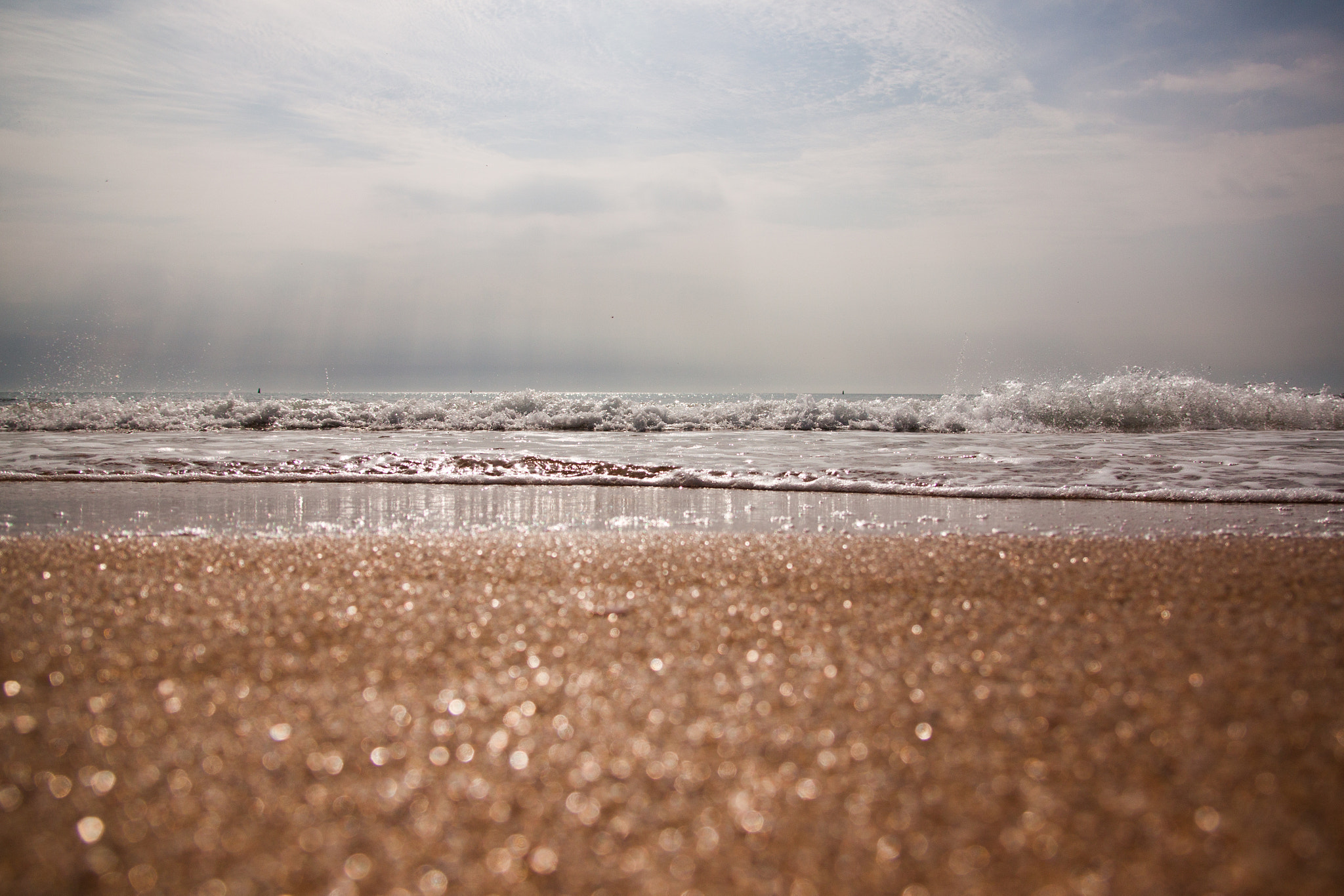 Canon EOS 500D (EOS Rebel T1i / EOS Kiss X3) sample photo. Sun in sand photography