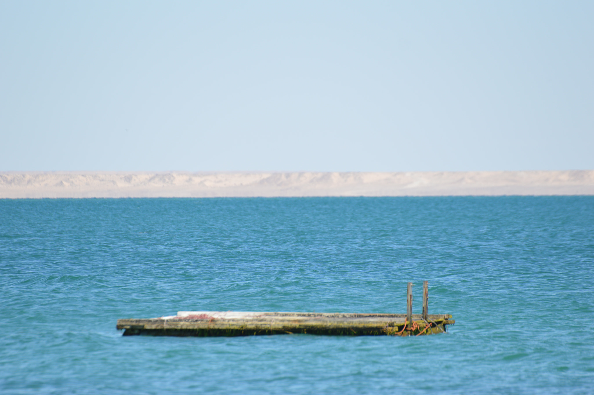 Nikon D3200 + Sigma 70-300mm F4-5.6 DG OS sample photo