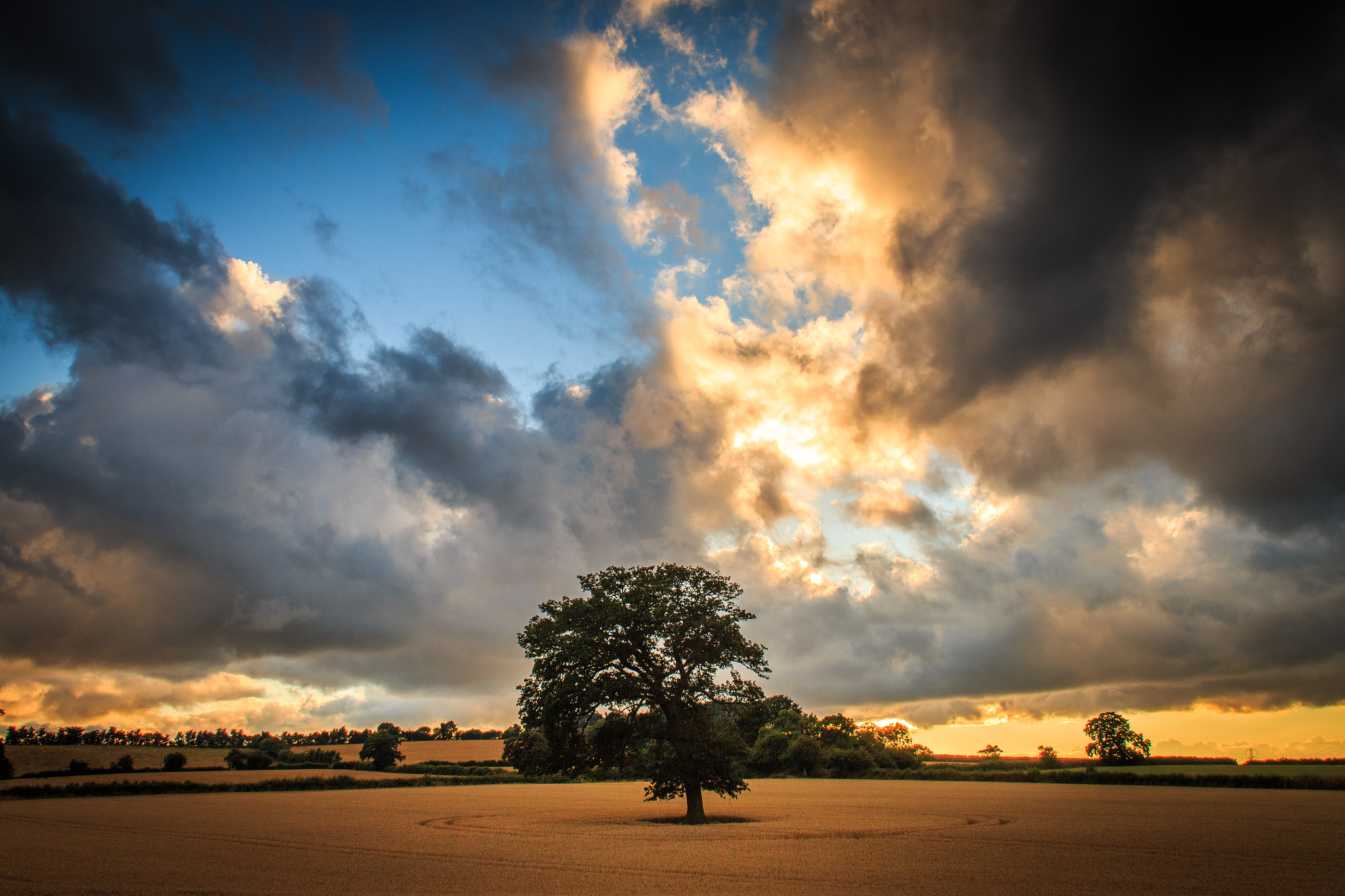 Canon EOS 70D + Canon EF 20mm F2.8 USM sample photo. Mighty oak photography