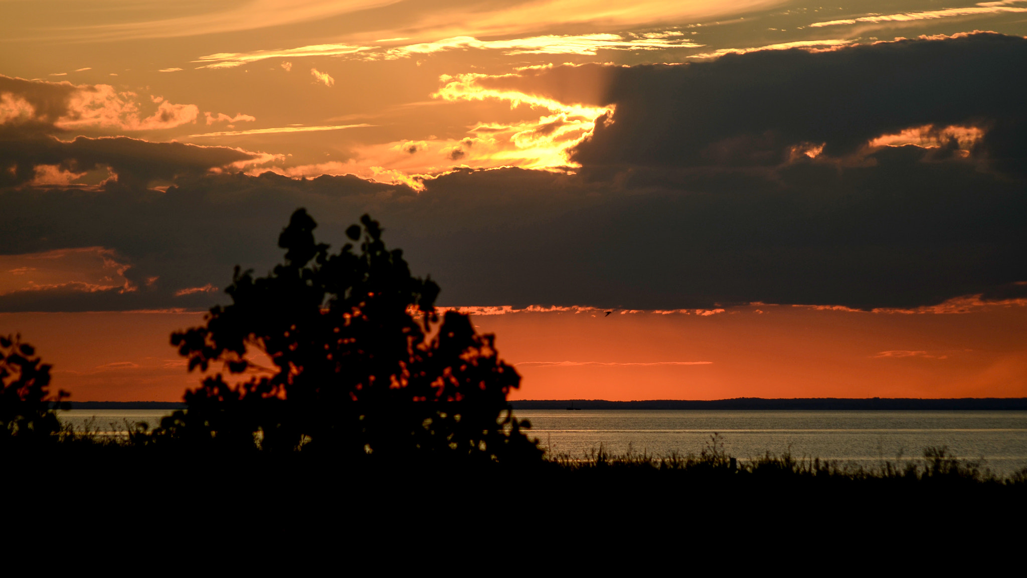 Nikon D7000 + AF Nikkor 70-210mm f/4-5.6 sample photo. Molten gold photography