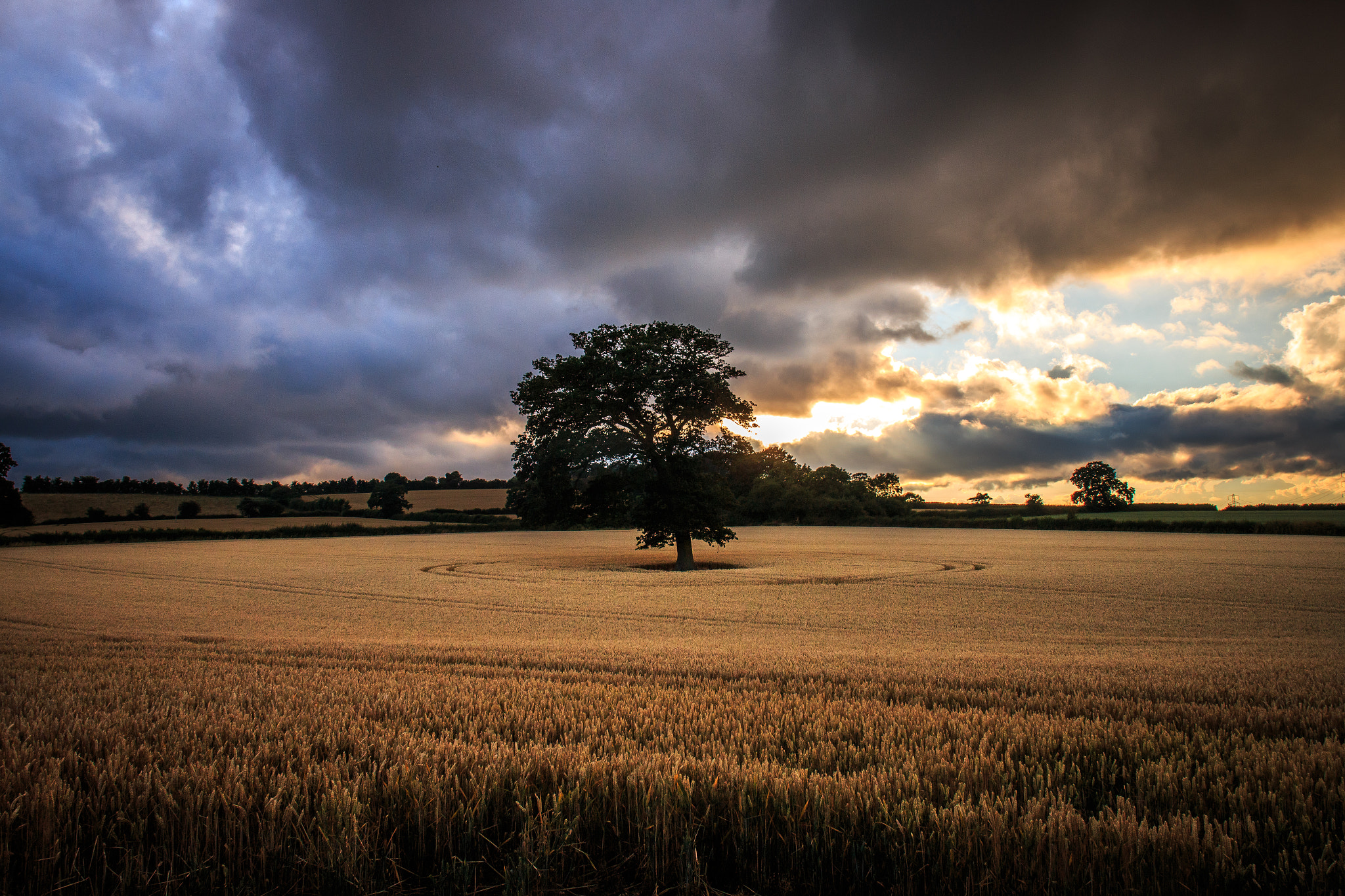 Canon EOS 70D + Canon EF 20mm F2.8 USM sample photo. Stormy harvest photography
