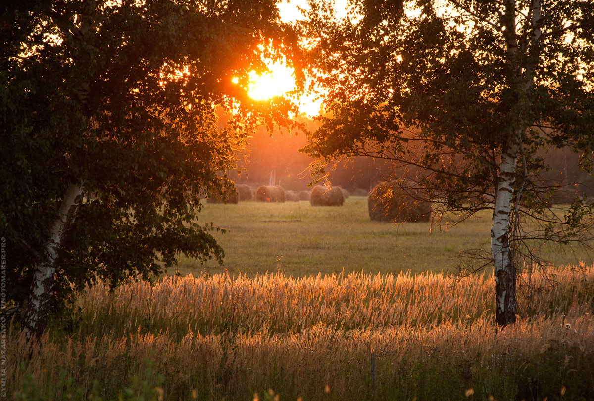 Canon EOS-1Ds Mark III sample photo. Haystacks photography