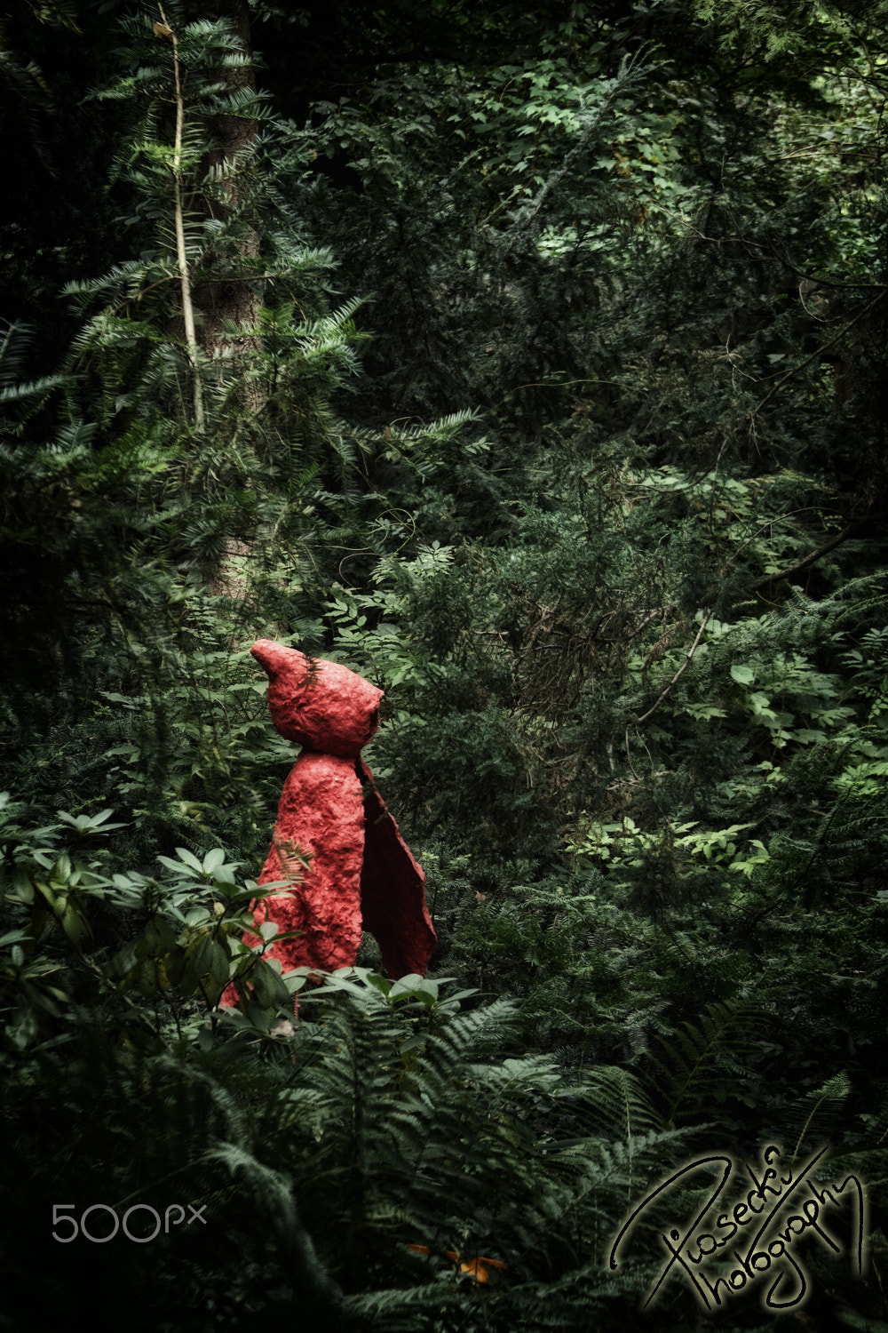 Canon EF 28-135mm F3.5-5.6 IS USM sample photo. Neverending journey of the little red riding hood photography