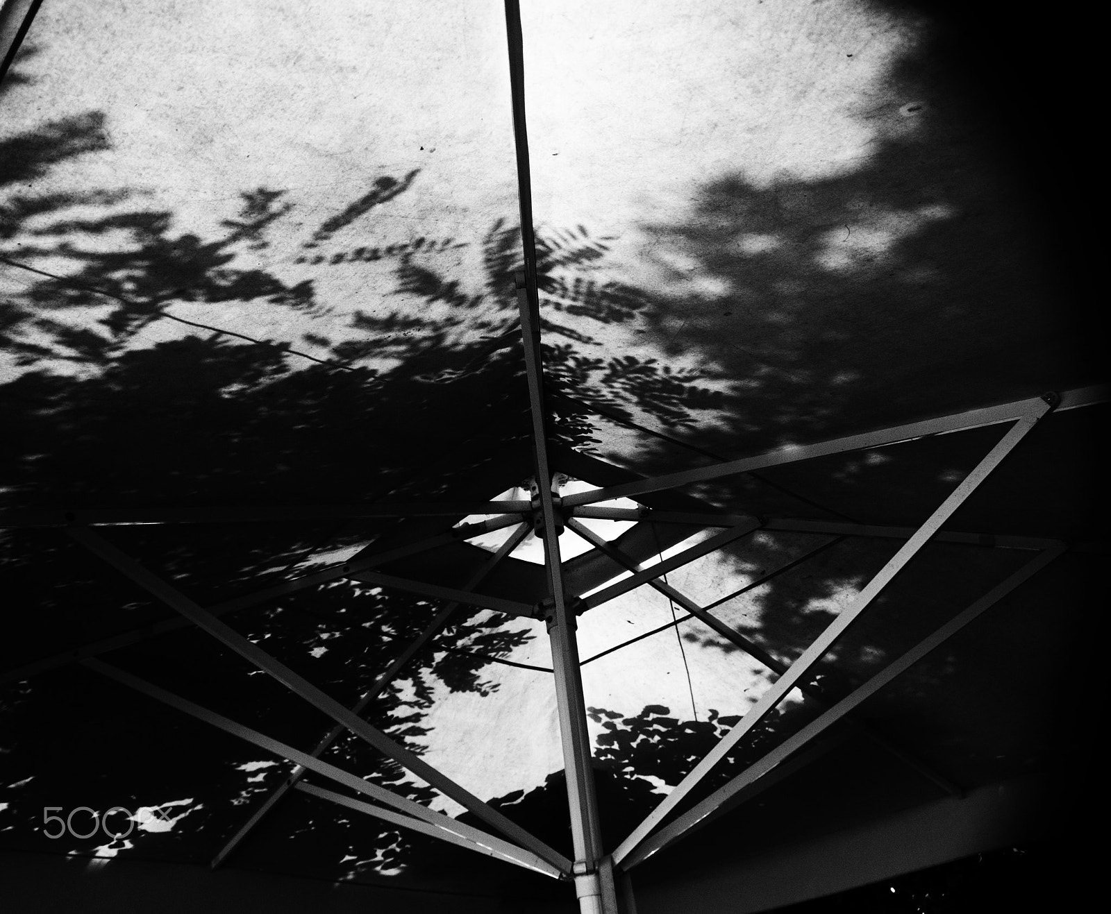 Sony DT 18-250mm F3.5-6.3 sample photo. Under the brolly. photography