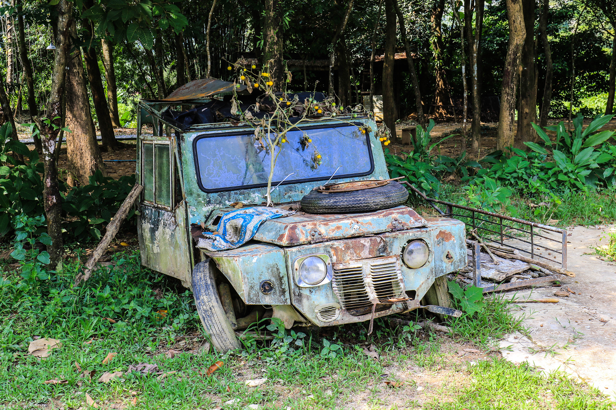 Canon EF 16-35mm F4L IS USM sample photo. Abandoned car - laos photography