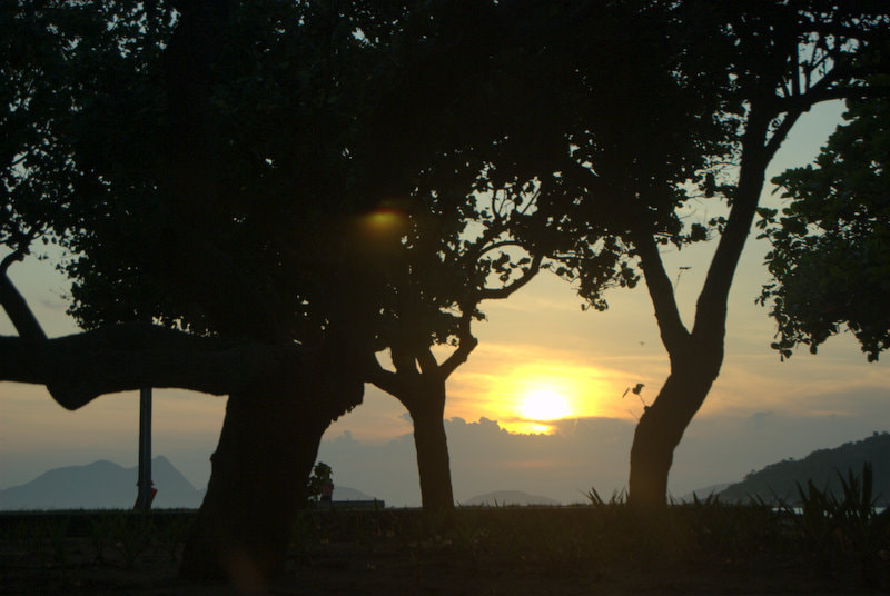 Nikon D40X sample photo