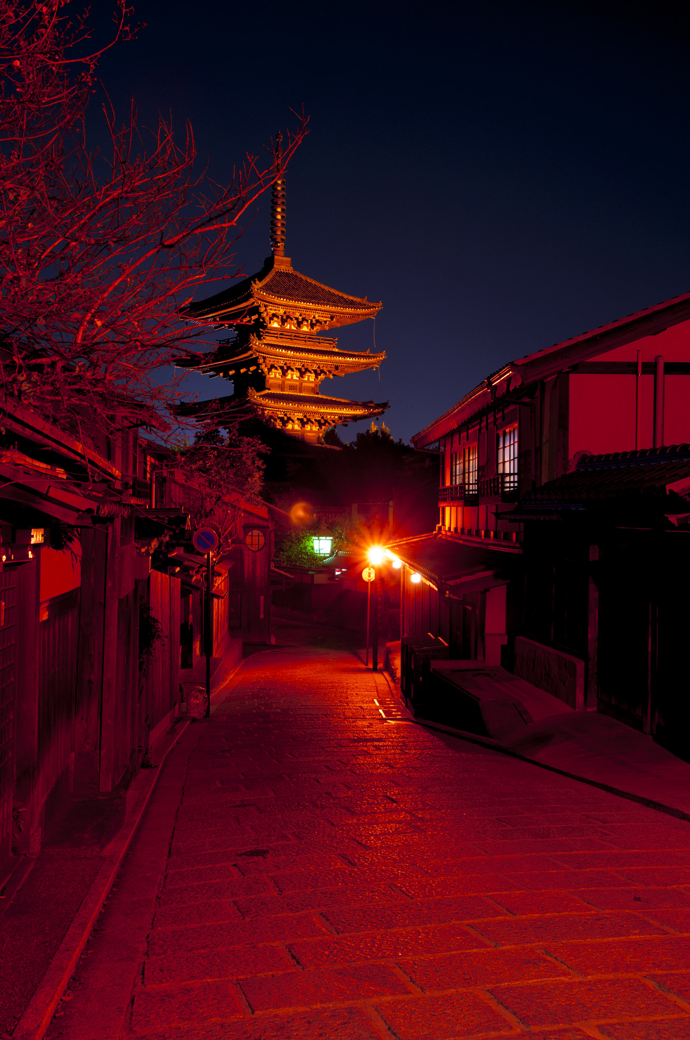 Nikon D300S sample photo. Five-storied pagoda photography